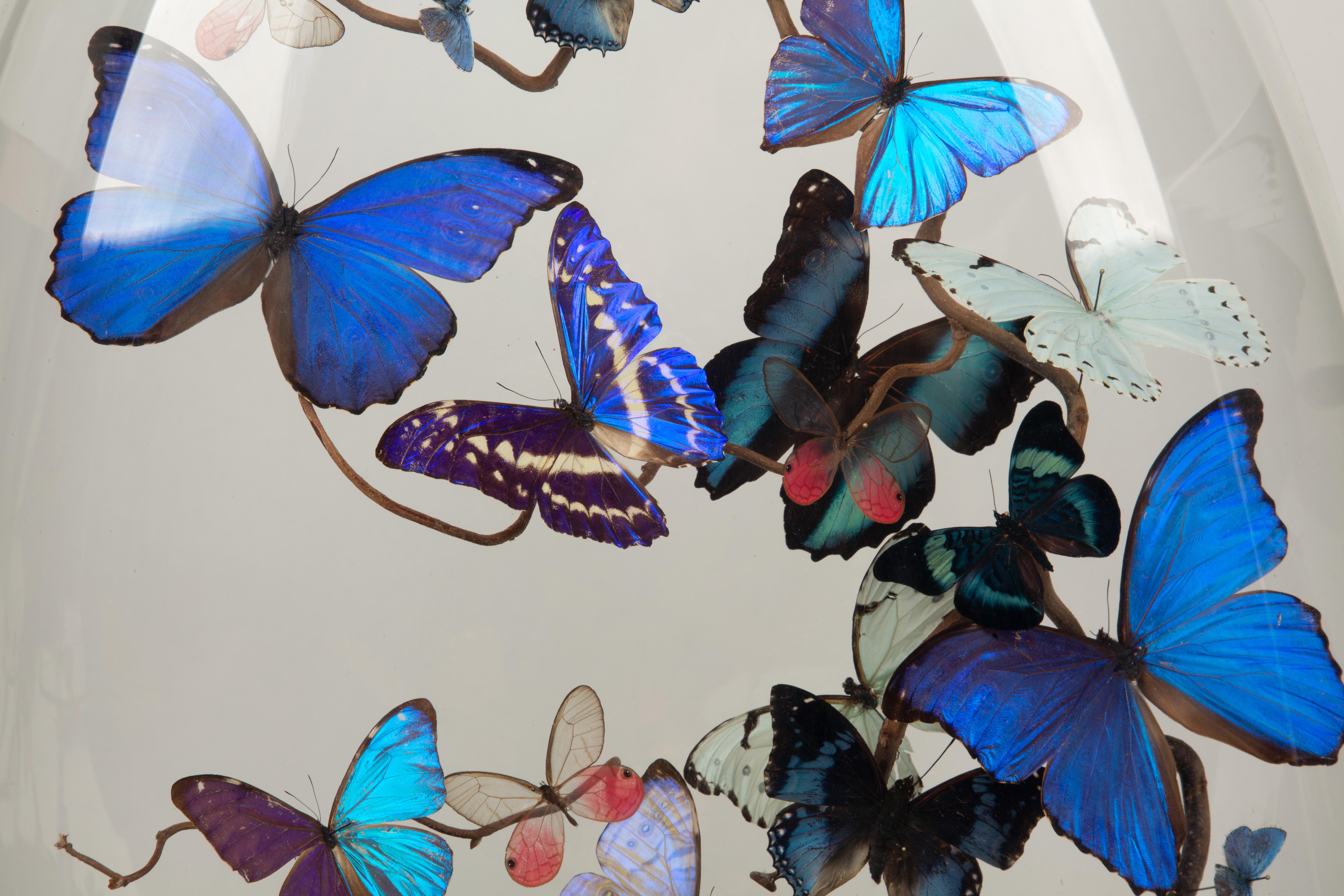 Aurora by Hasharat: 19th-Century Glass Globe with Shimmering Butterflies In New Condition In New York, NY