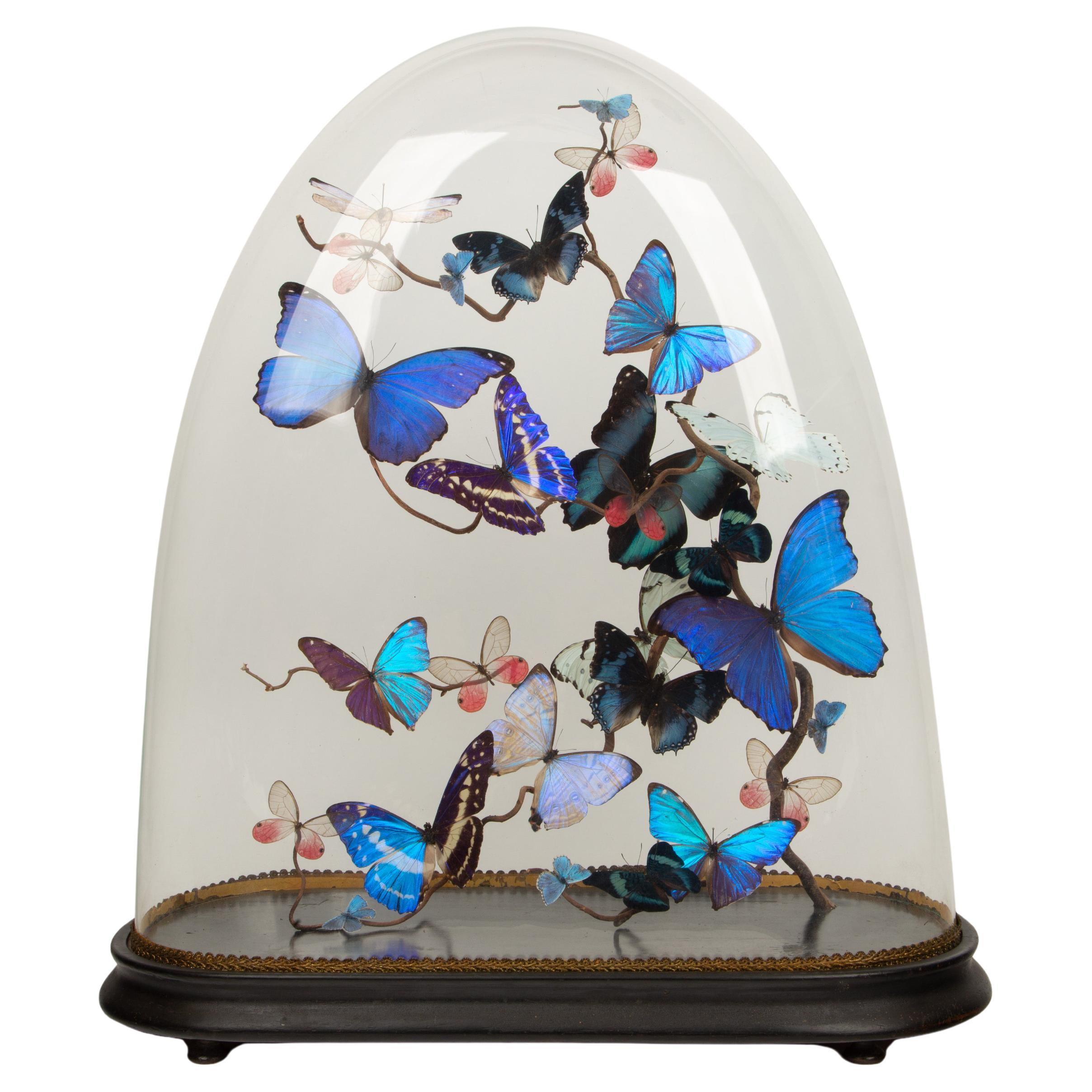 Aurora by Hasharat: 19th-Century Glass Globe with Shimmering Butterflies
