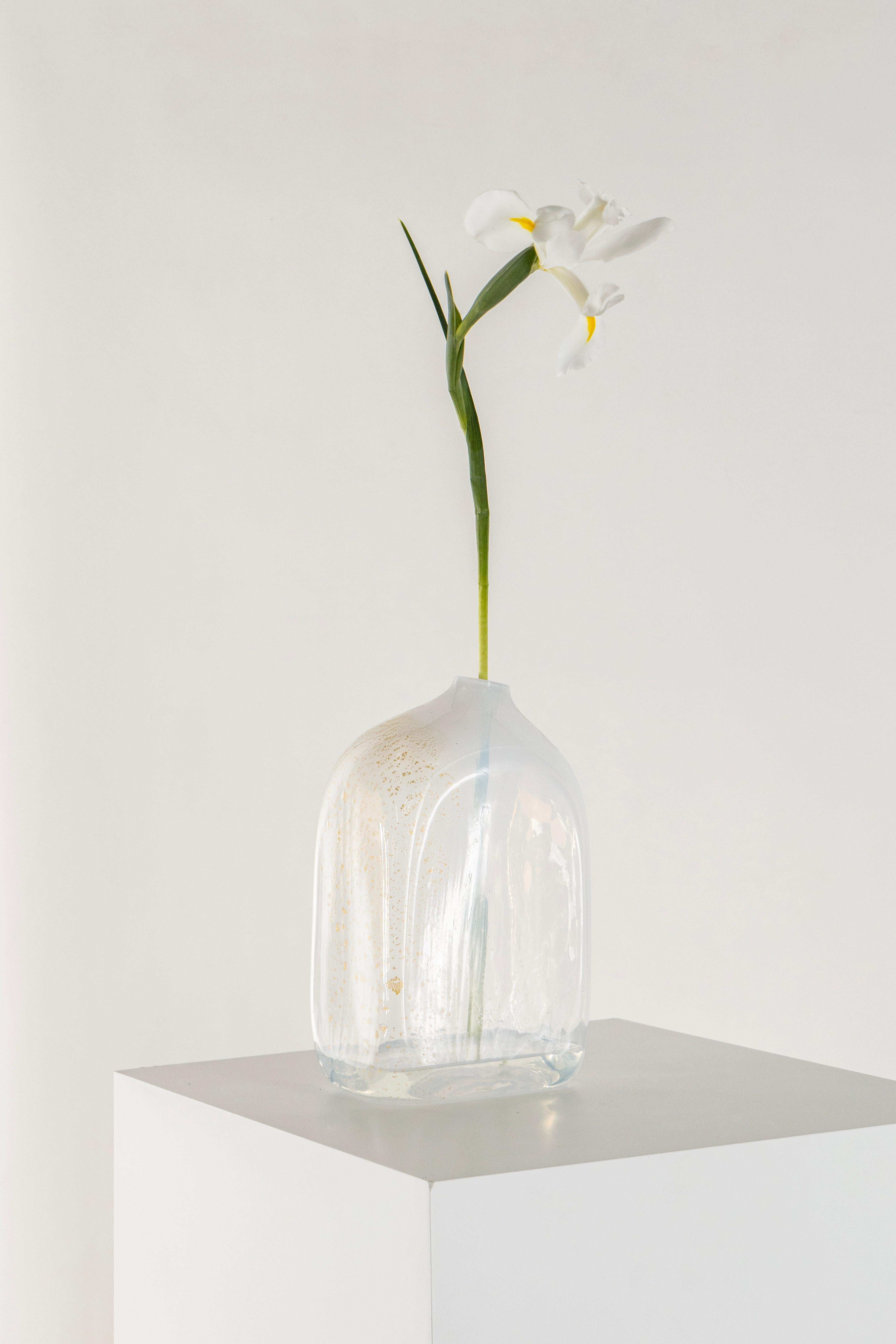 This limited edition of vases joins the Aurum collection: magnificent, enigmatic, and sensual.

Through careful experimentation of the traditional glass-blowing technique, the vases were fused with very fine sheets of 23-karat gold, which fragmented