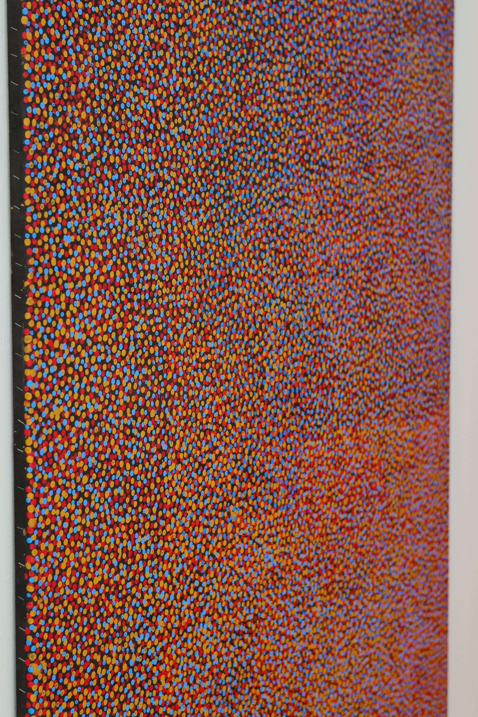 Late 20th Century Australia Aboriginal Dreaming Painting by Gladys Kemarre, 1995 For Sale