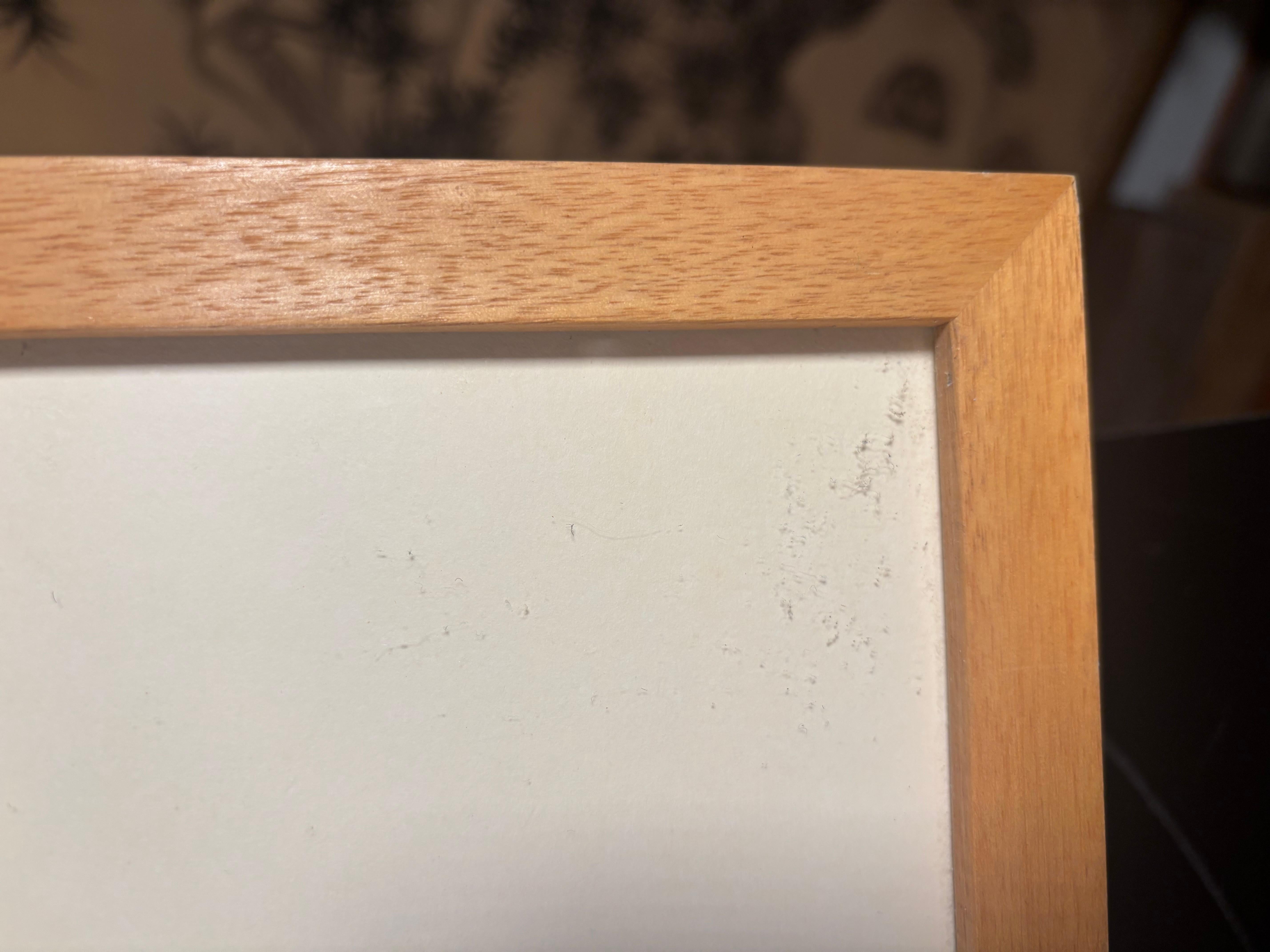 Australia George French Angus Ritratti degli abitanti aborigeni Litografia del 19° secolo in vendita 8