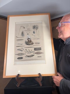 Australia George French Angus The Aboriginal Inhabitants Hand Colored Litho 1847