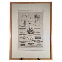 Australia George French Angus The Aboriginal Inhabitants Hand Colored Litho 1847