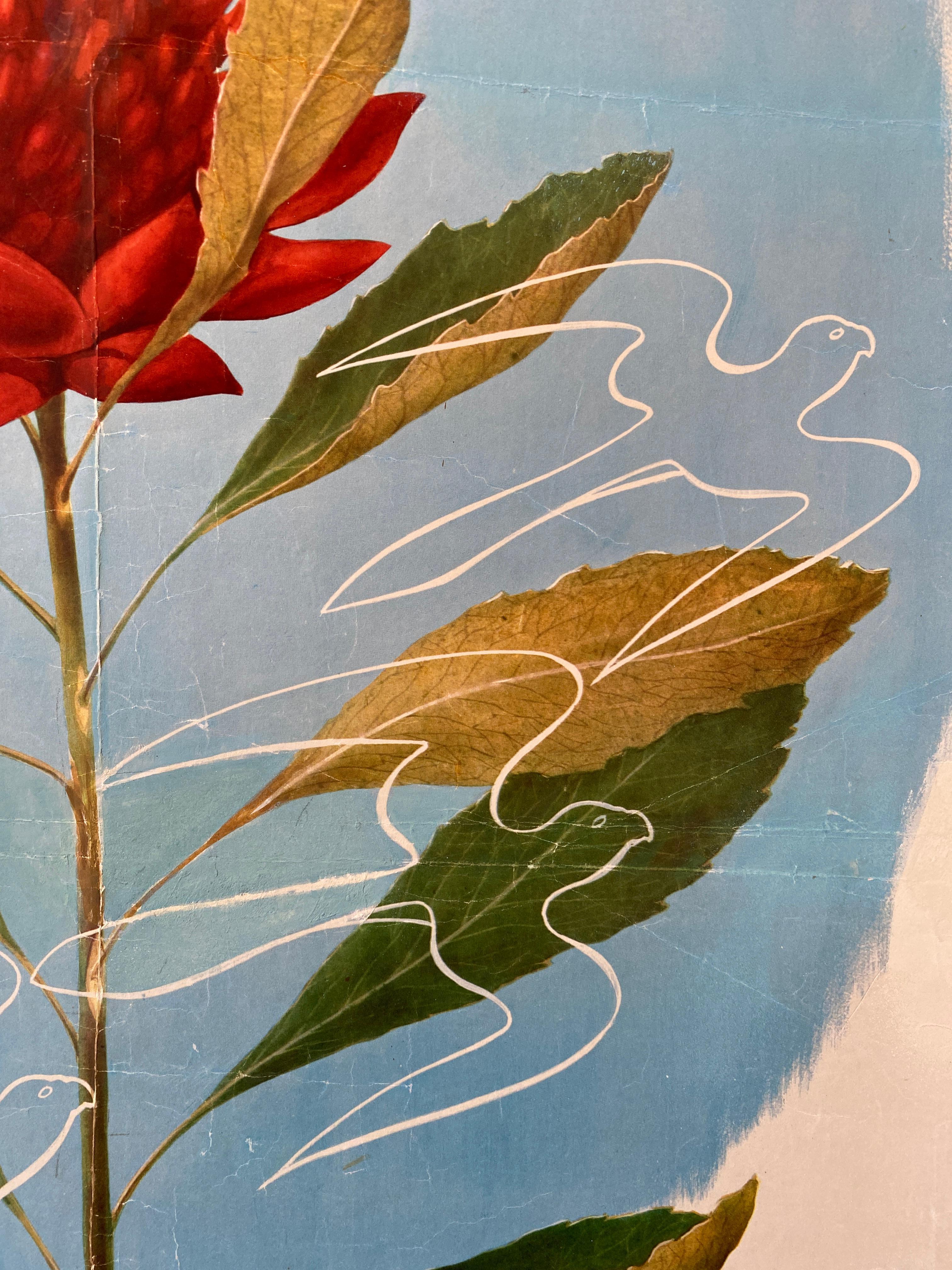 'AUSTRALIA WARATAH' Poster originale d'epoca in stile Art Deco di Sellheim in vendita 3