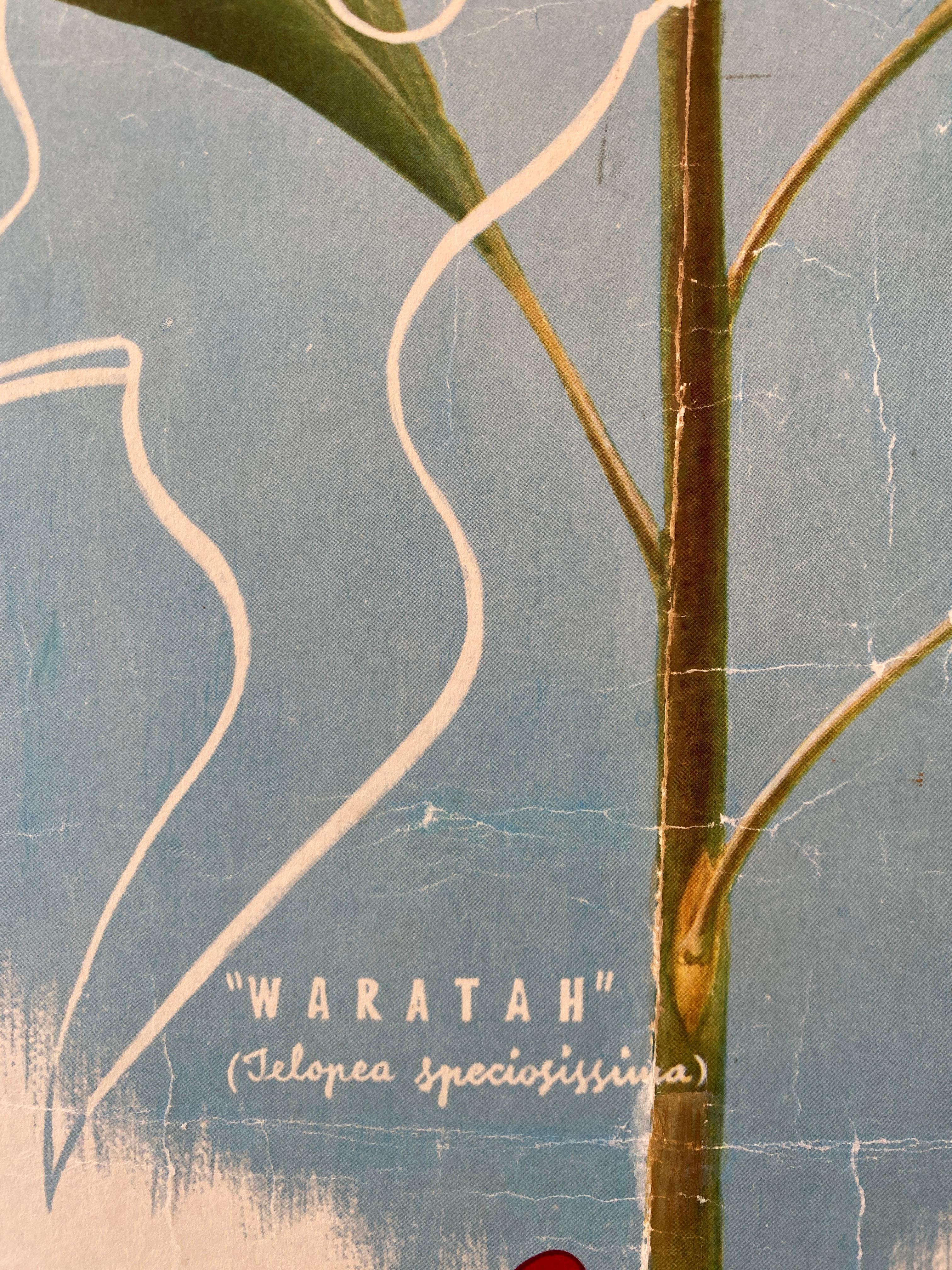 'AUSTRALIA WARATAH' Poster originale d'epoca in stile Art Deco di Sellheim in vendita 4