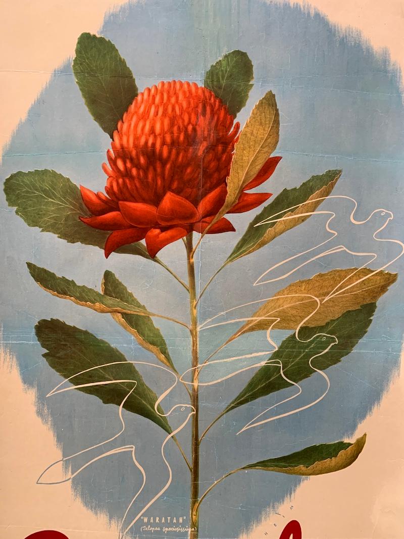 'AUSTRALIA WARATAH' Original Vintage Art Deco Poster by Sellheim

An original vintage Australian poster by Sellheim featuring one of Australia's most well-known flowers, the Waratah. This poster is in good condition, there are obvious signs of wear