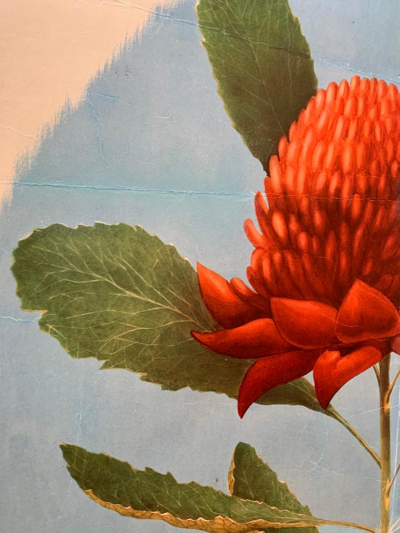 Linen 'AUSTRALIA WARATAH' Original Vintage Art Deco Poster by Sellheim For Sale