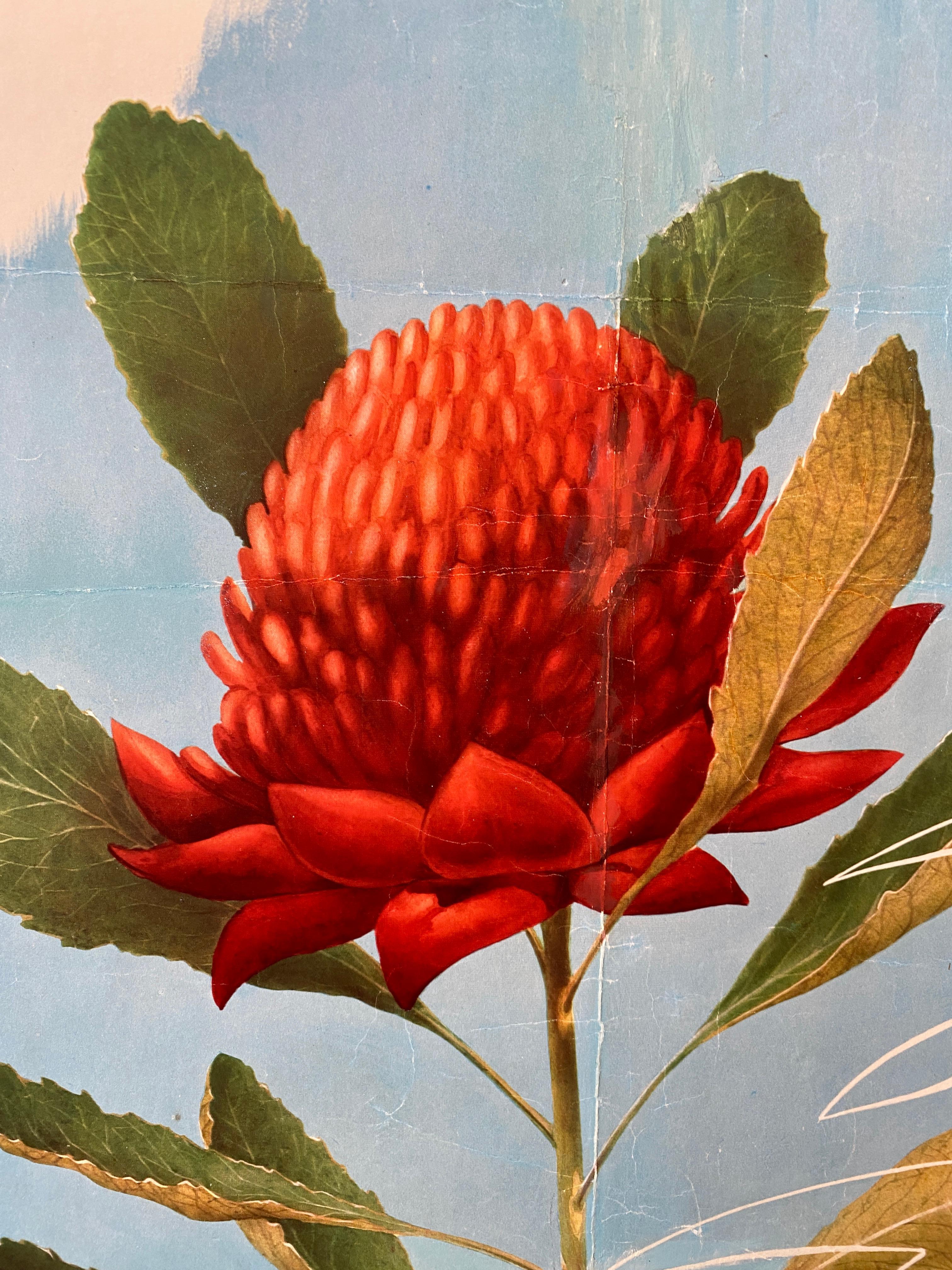 'AUSTRALIA WARATAH' Poster originale d'epoca in stile Art Deco di Sellheim in vendita 2