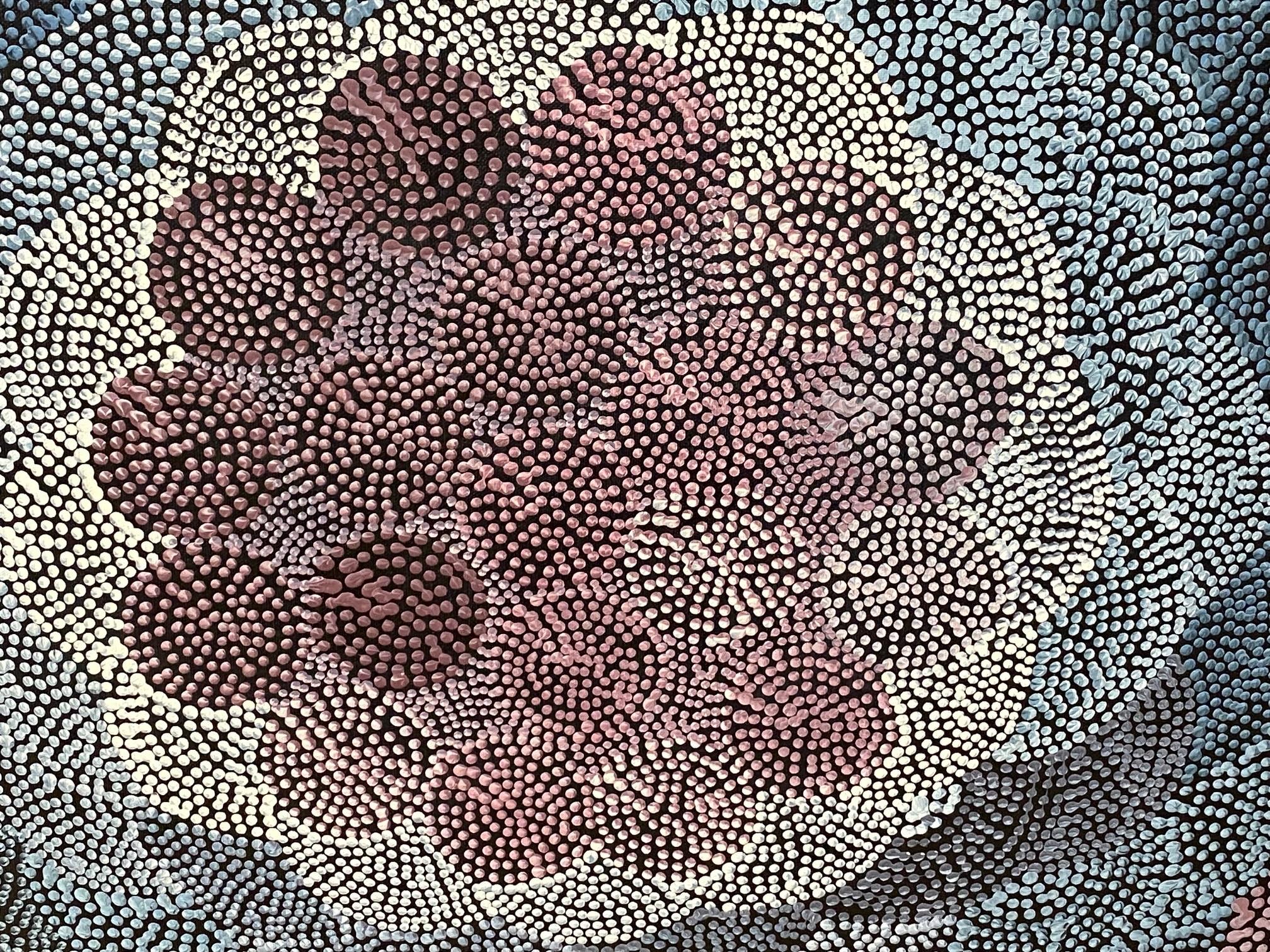 Australian Aboriginal Art Janet Forrester Ngala Painting Milky Way Dream, 1994 In Good Condition For Sale In Studio City, CA