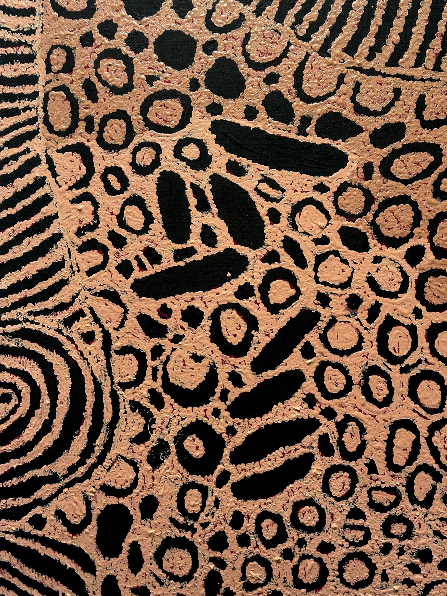 Pintura aborigen australiana del Tiempo del Sueño Nyurapayia Nampitjinpa en venta 5