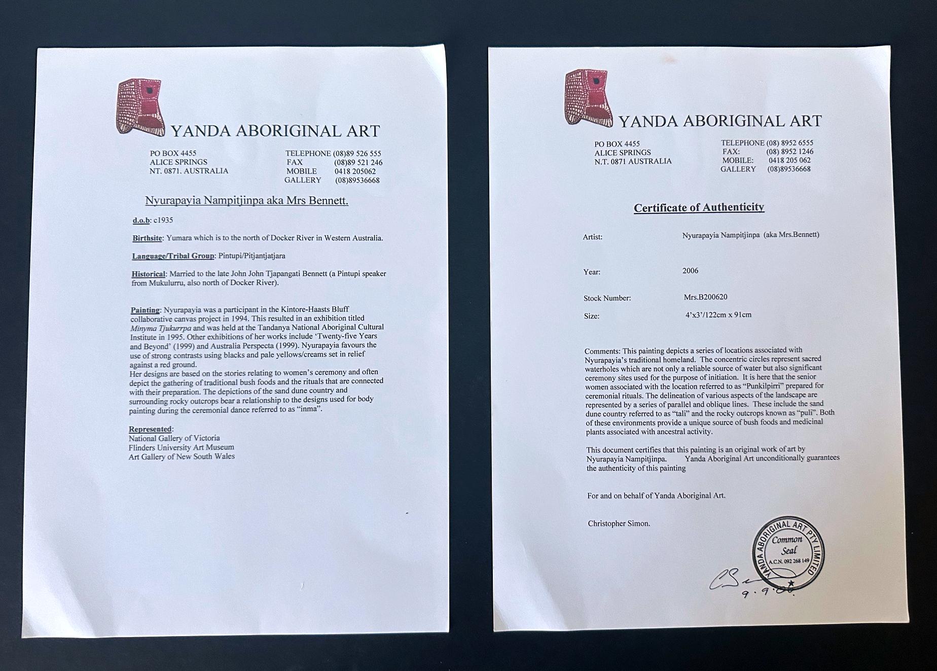 Pintura aborigen australiana del Tiempo del Sueño Nyurapayia Nampitjinpa en venta 10