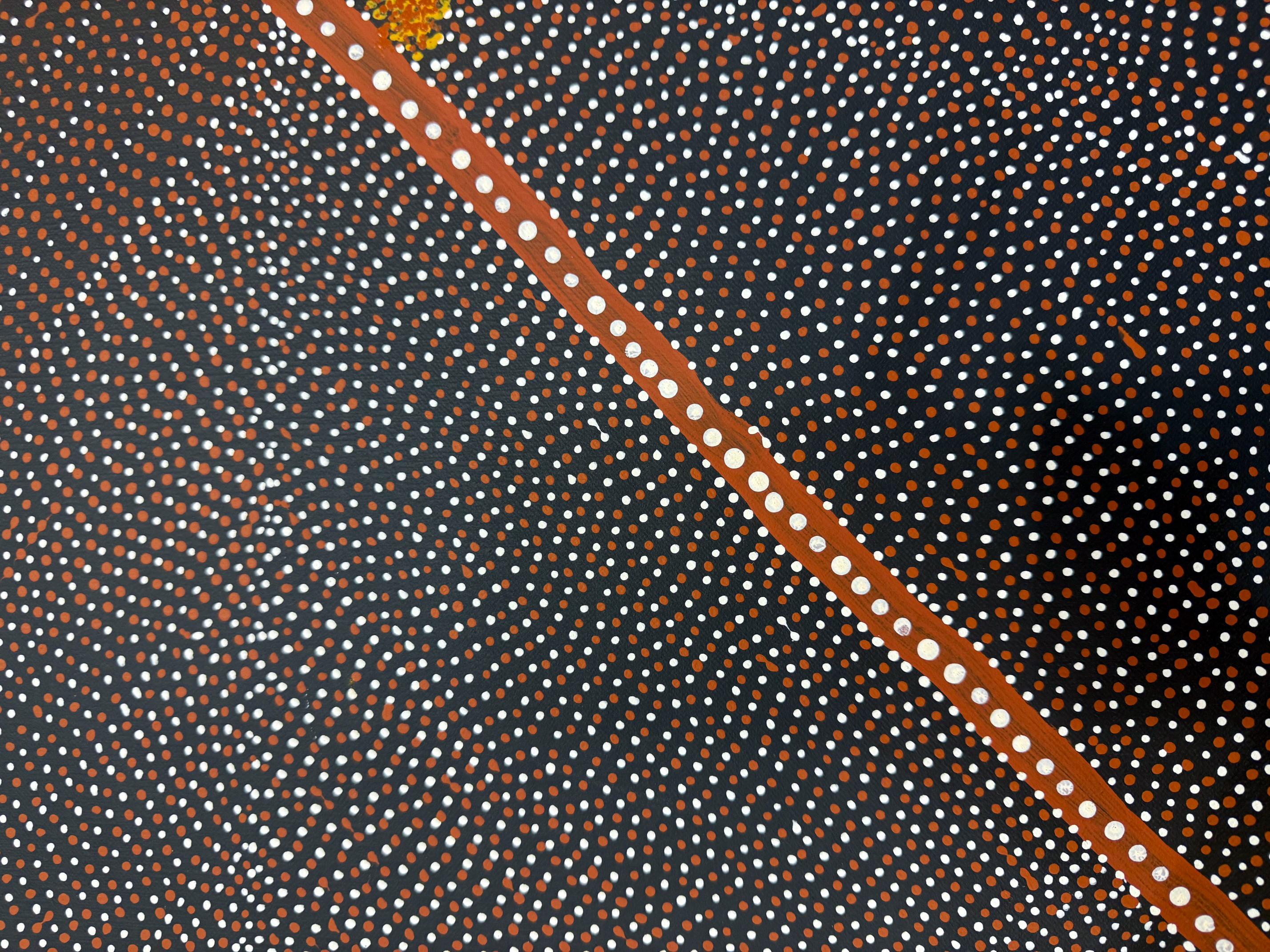 Australisches Gemälde der australischen Aborigines von Kathleen Petyarre im Angebot 3