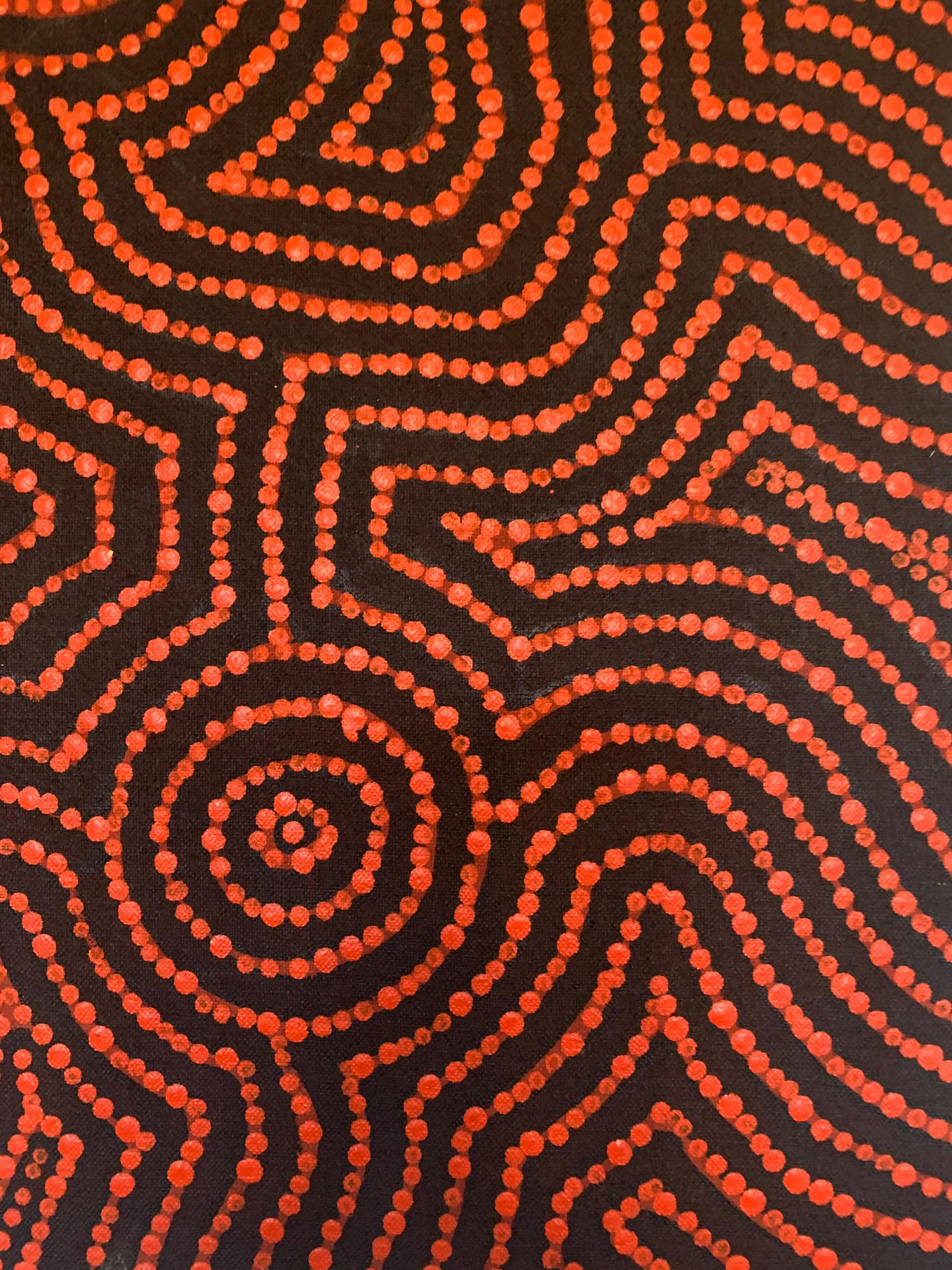 Contemporary Australian Aboriginal Painting Nelli Nakamarra Marks