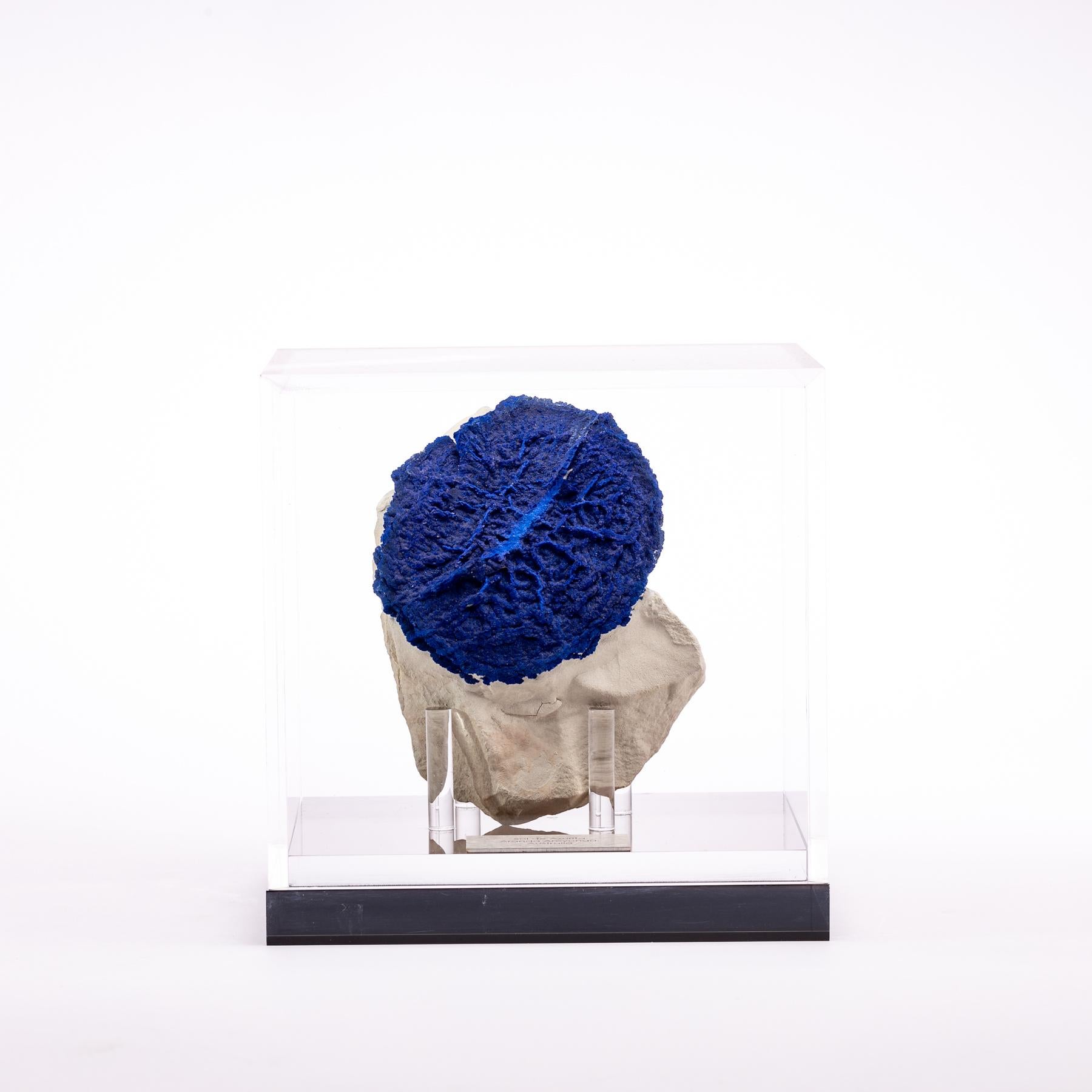 This rare azurite sun from Australia arrives mounted in a custom made acrylic box.

 