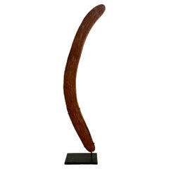 Boomerang australiano, XIX secolo