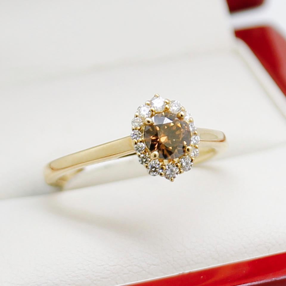 Introducing the Australian Chocolate Diamond Engagement Ring, a captivating piece crafted with exquisite details. This ring showcases a seamless blend of yellow gold and a collection of stunning diamonds, making it a truly remarkable piece of