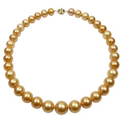 Australian Golden South Sea Pearl Strand Necklace with 14k Yellow Gold Clasp