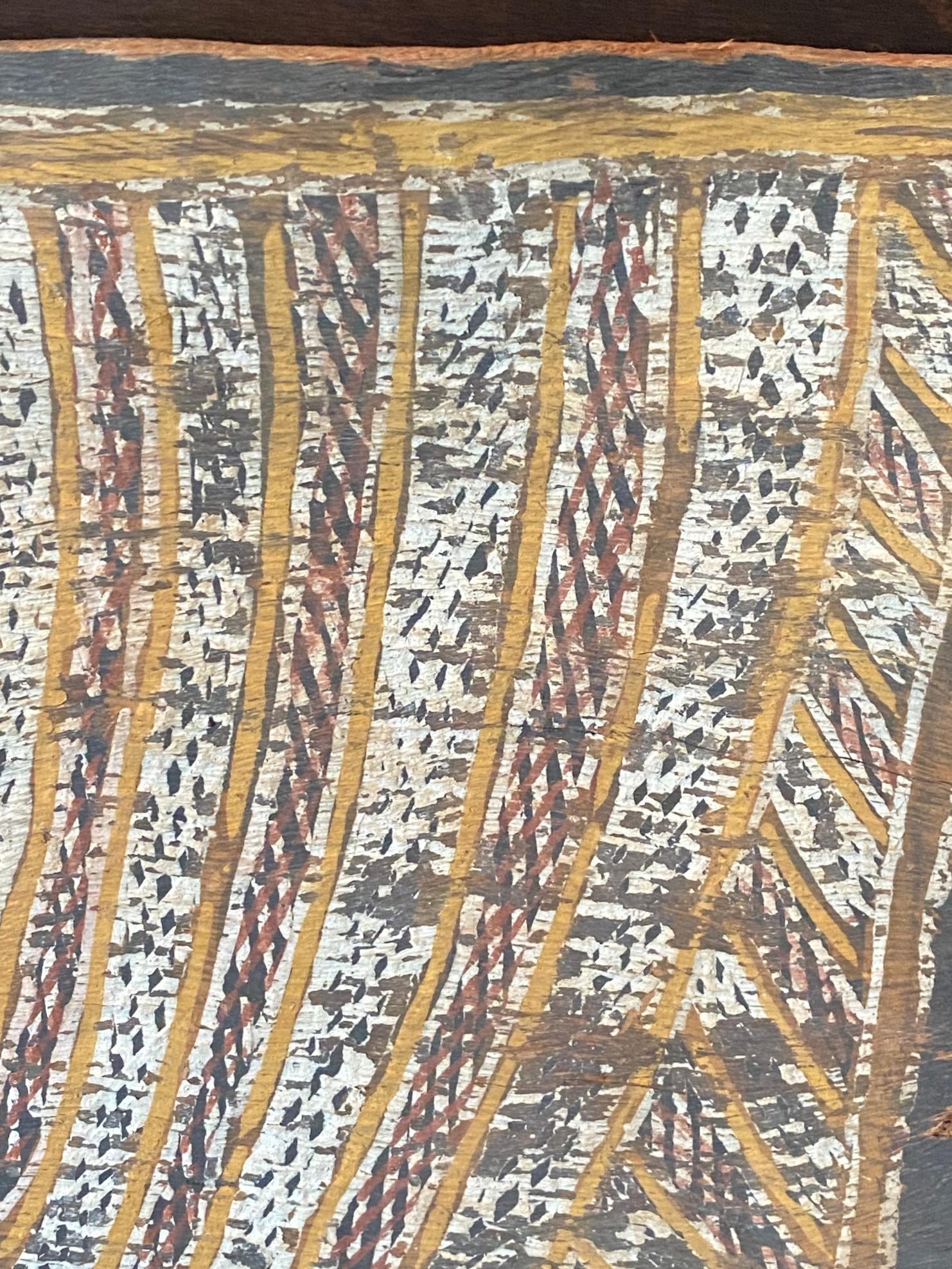 Australian Indigenous Aboriginal Art Dreaming Bark Painting with Rainbow Serpent For Sale 8