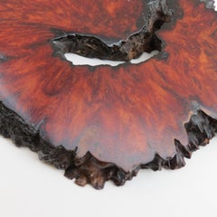 Australian Karri Burr Wood Decorative Piece
