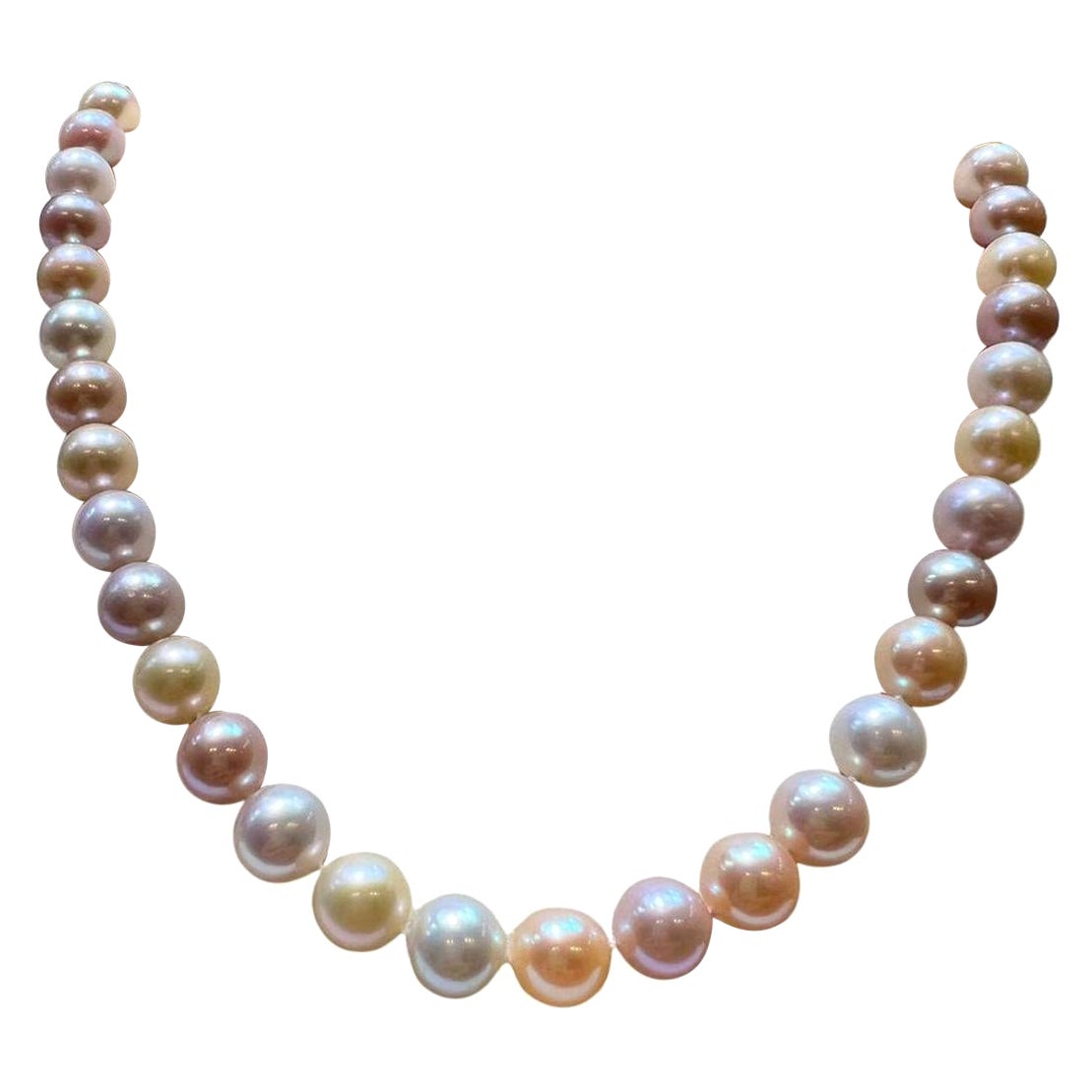 Australische mehrfarbige Perle mit Verschluss aus 14 Karat Gelbgold im Angebot