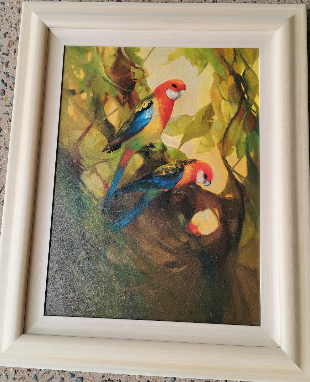 Painted Australian Rosellas Oil Painting For Sale