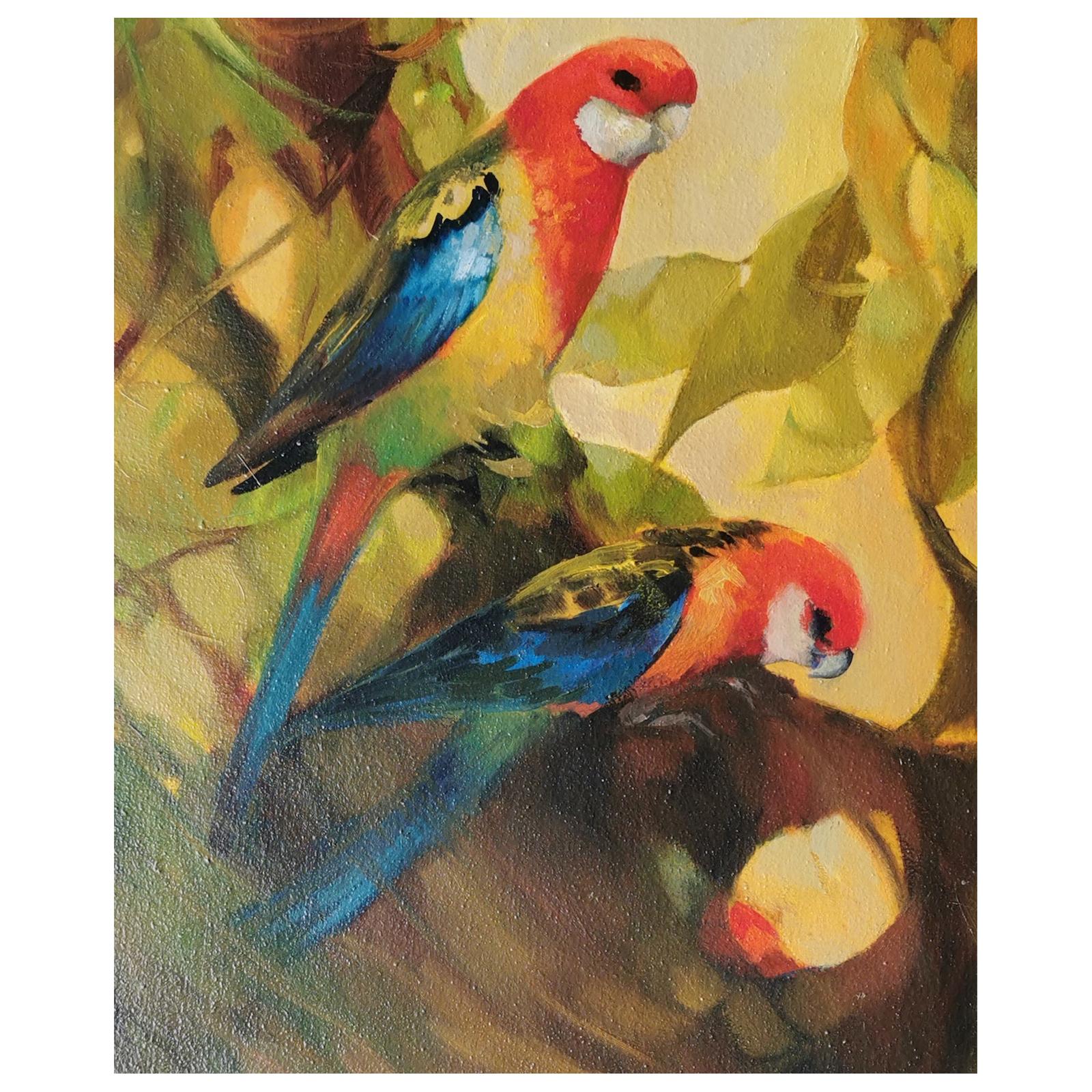 Australian Rosellas Oil Painting For Sale
