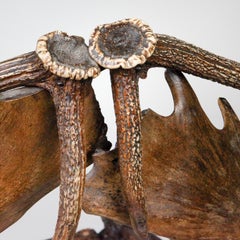 Austrian Antler Chair