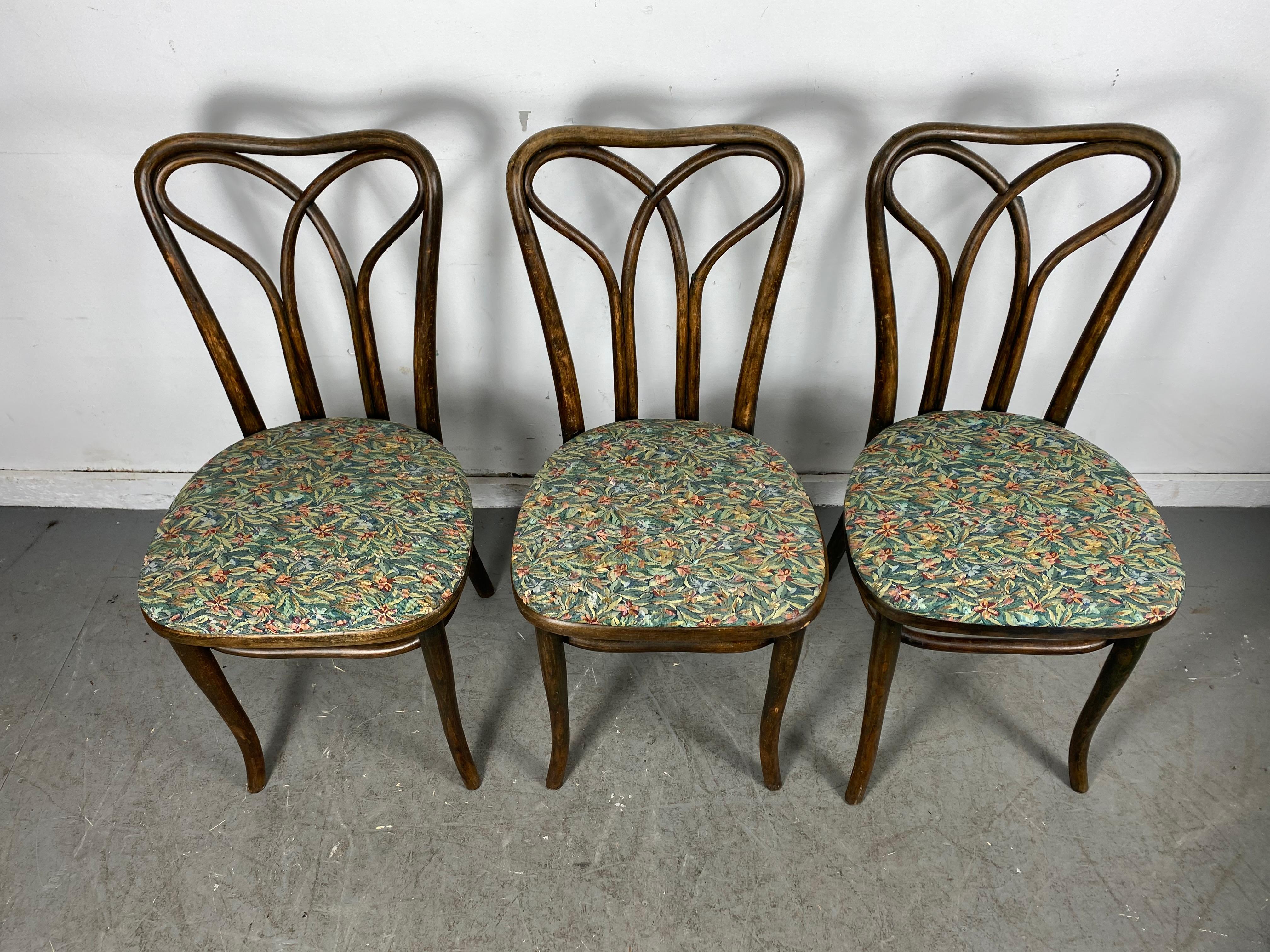 Fabric Austrian Art Nouveau Bentwood Side Chair Attributed to J & J Kohn, Early 1900's For Sale