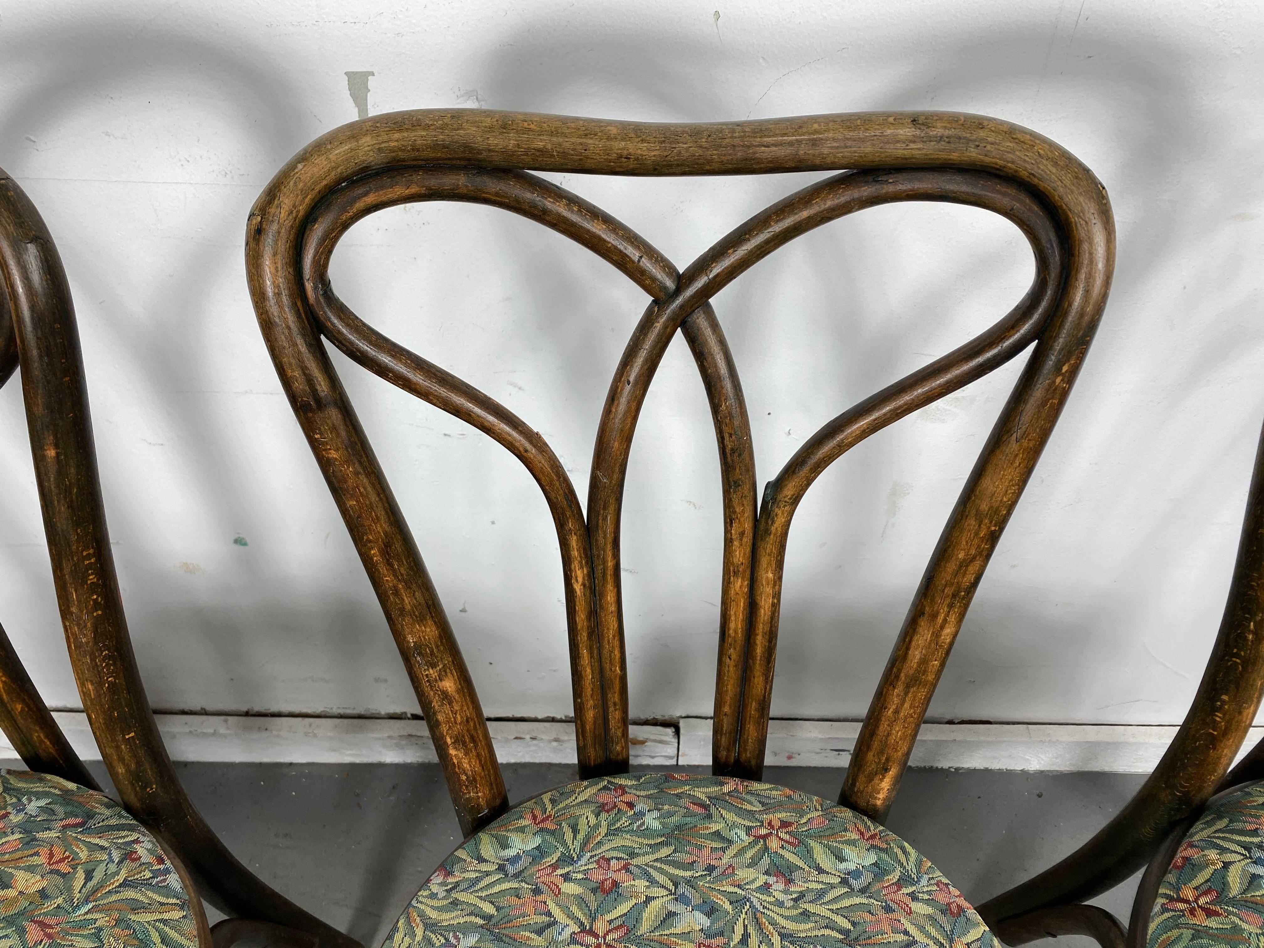 Austrian Art Nouveau Bentwood Side Chair Attributed to J & J Kohn, Early 1900's For Sale 1