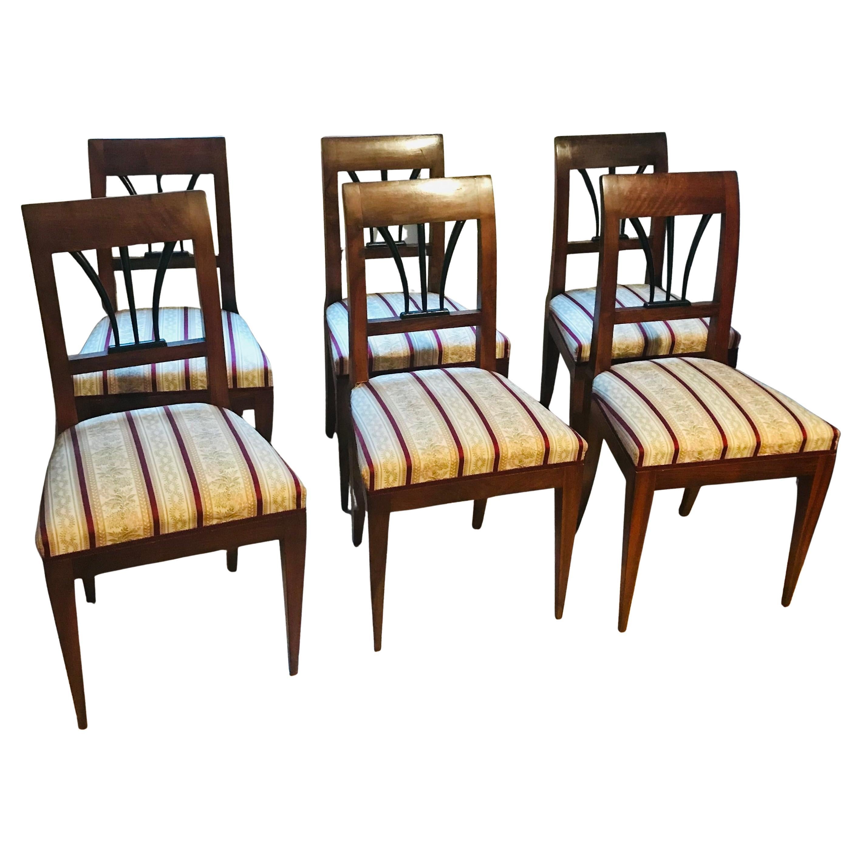 Österreichisches Biedermeier 6 Nussbaum Stühle Set