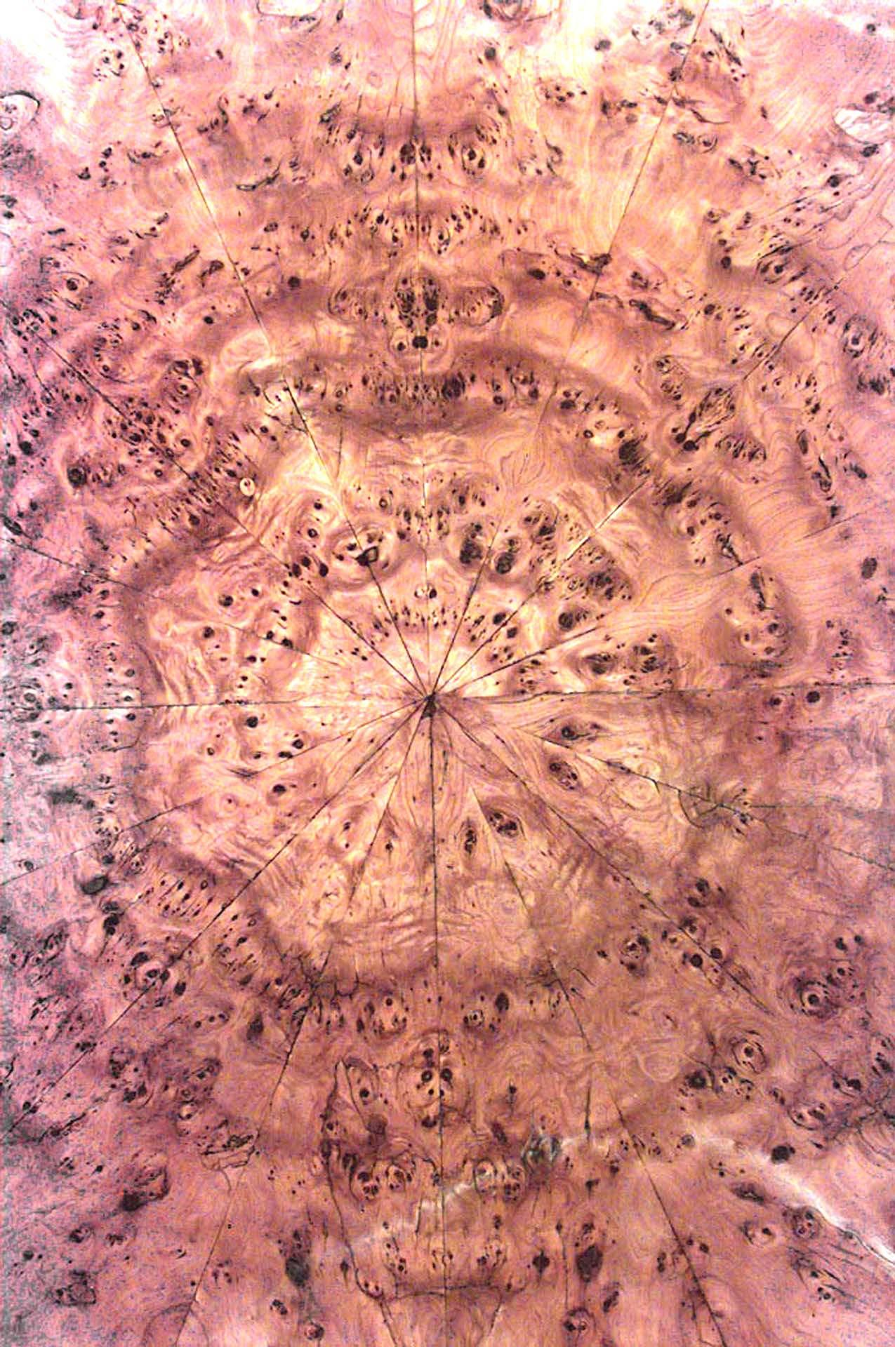 Autrichien Table de salle à manger autrichienne Biedermeier en ronce d'érable Sunburst en vente