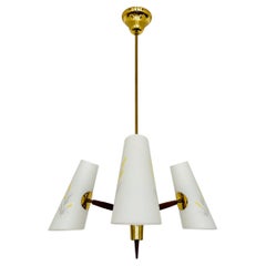 Austrian Brass Chandelier by Rupert Nikoll