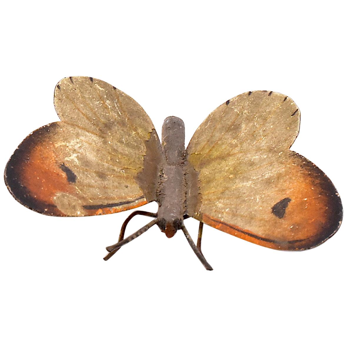 Austrian Bronze Butterfly, Moth For Sale