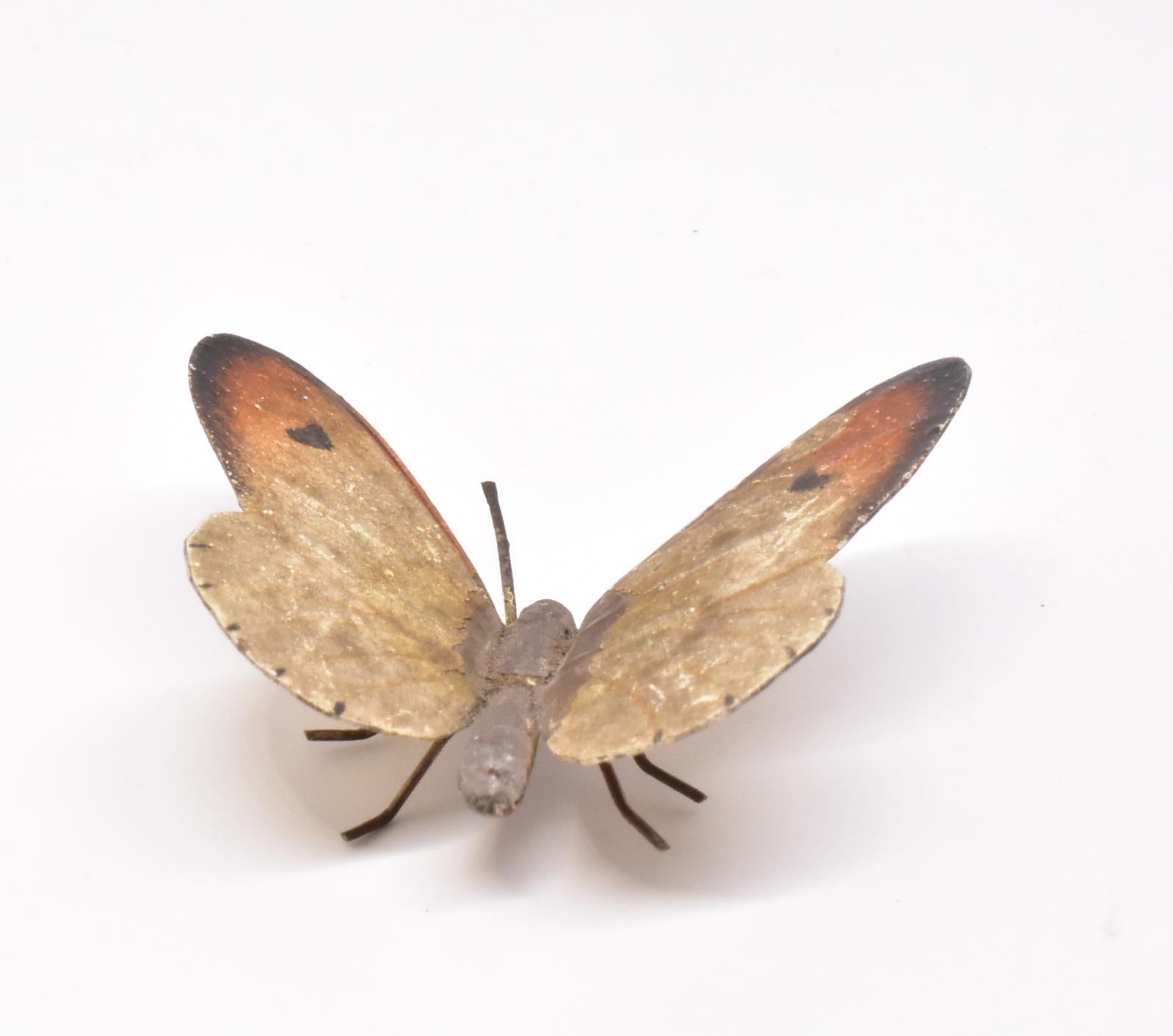 bronze moth