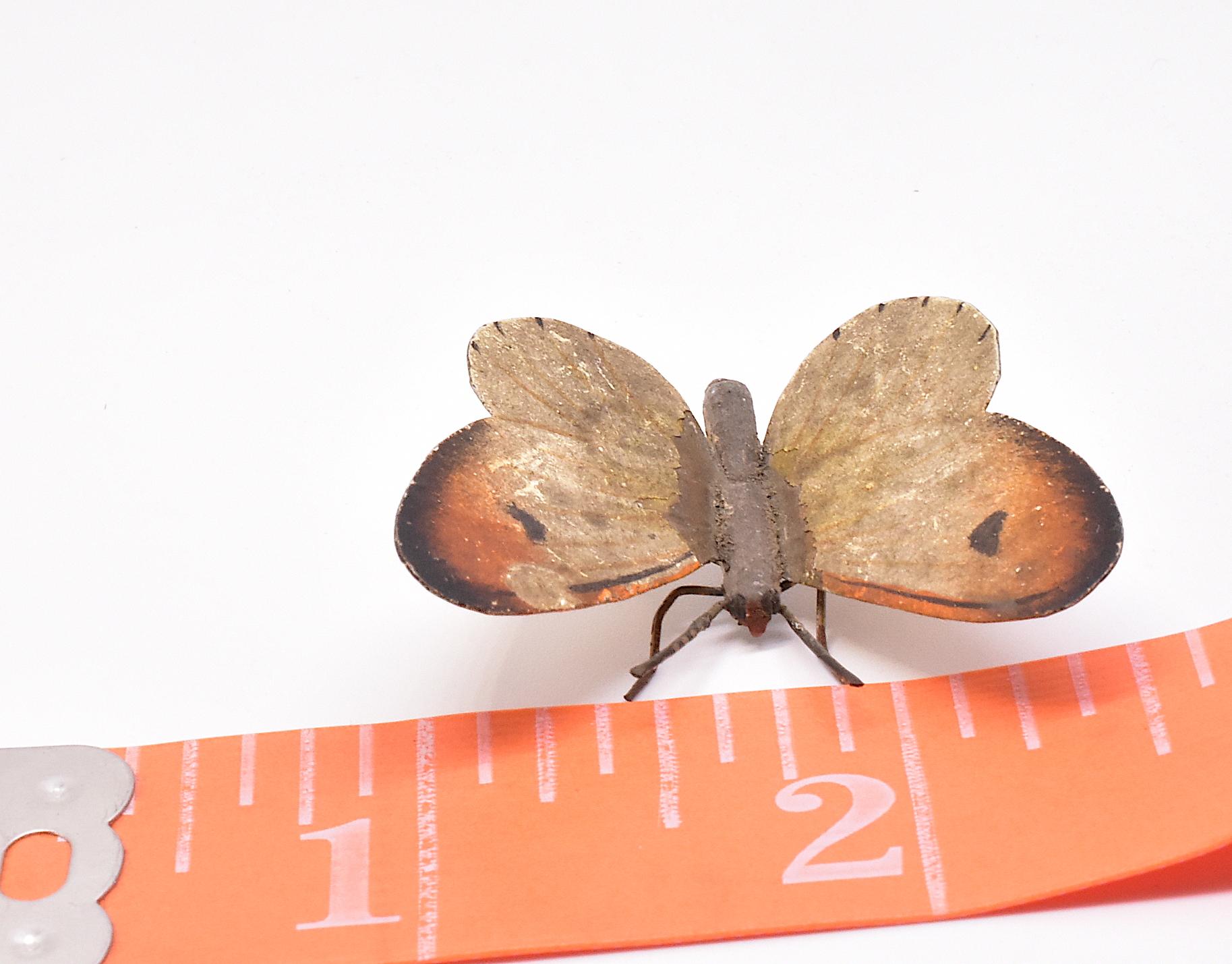 bronze moth