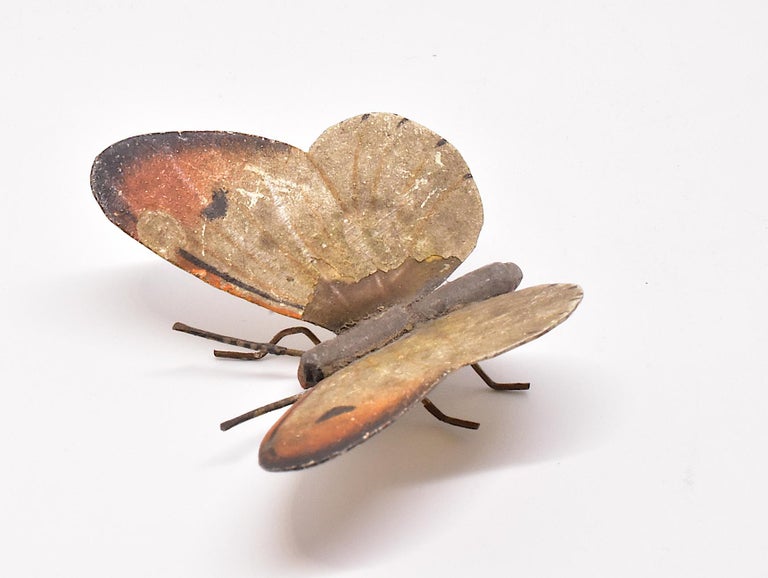 Austrian Bronze Butterfly, Moth For Sale at 1stDibs austrian moth
