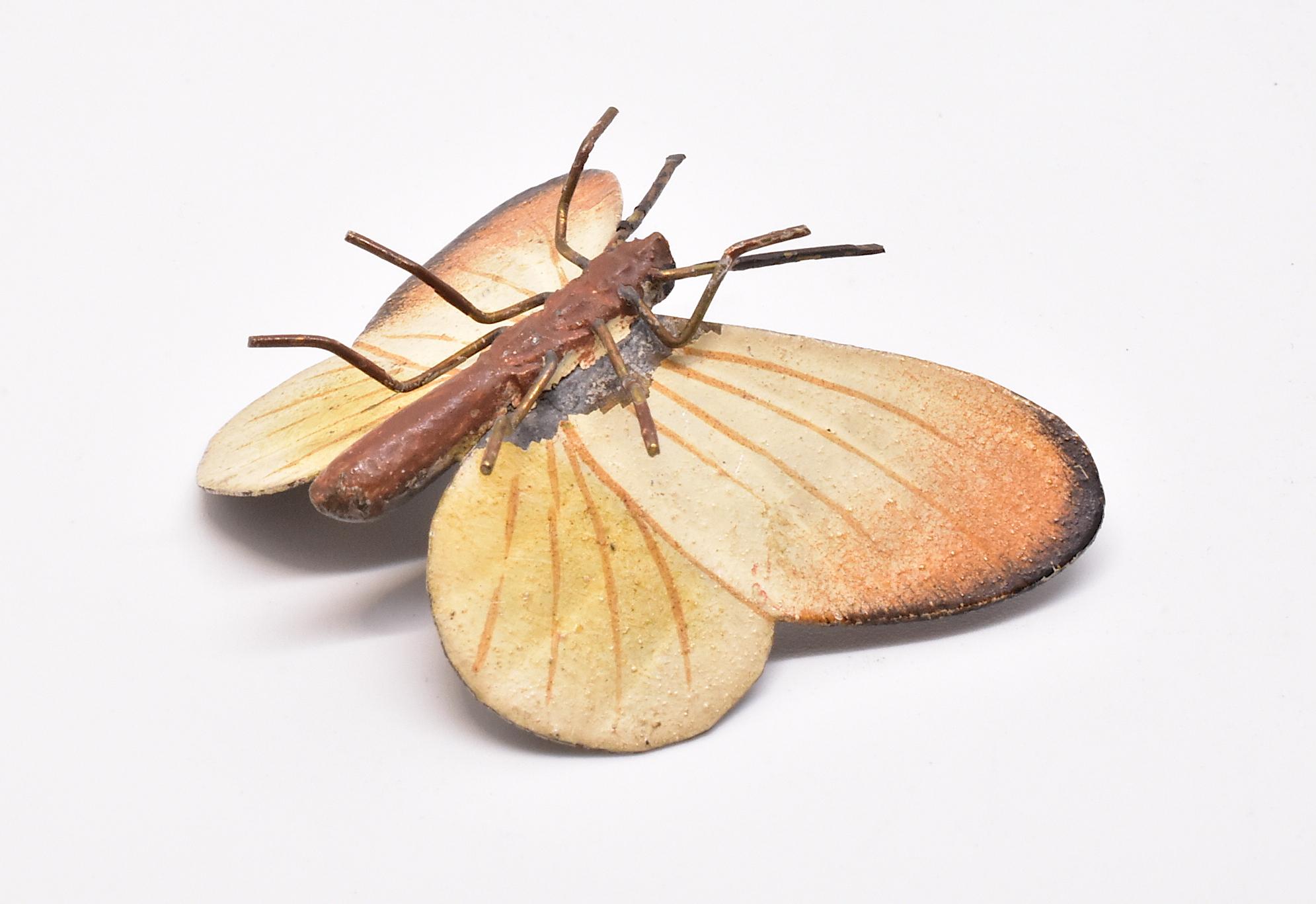 Women's or Men's Austrian Bronze Butterfly, Moth