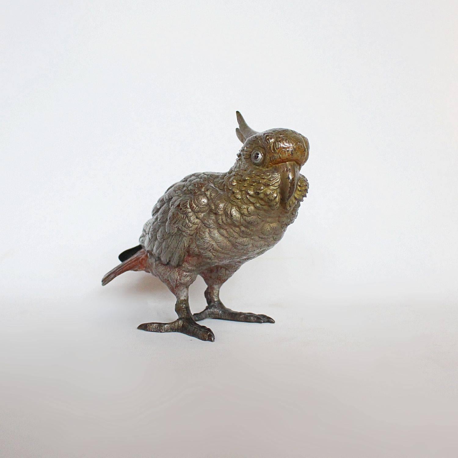 An early 20th century cold painted bronze study of a cockatoo parrot. Stamped Austria to tail.

    