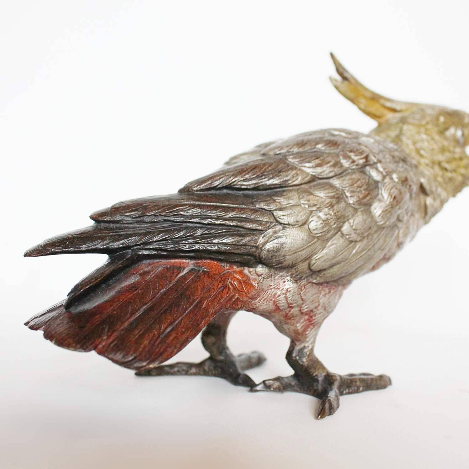 20th Century Austrian Bronze Cockatoo