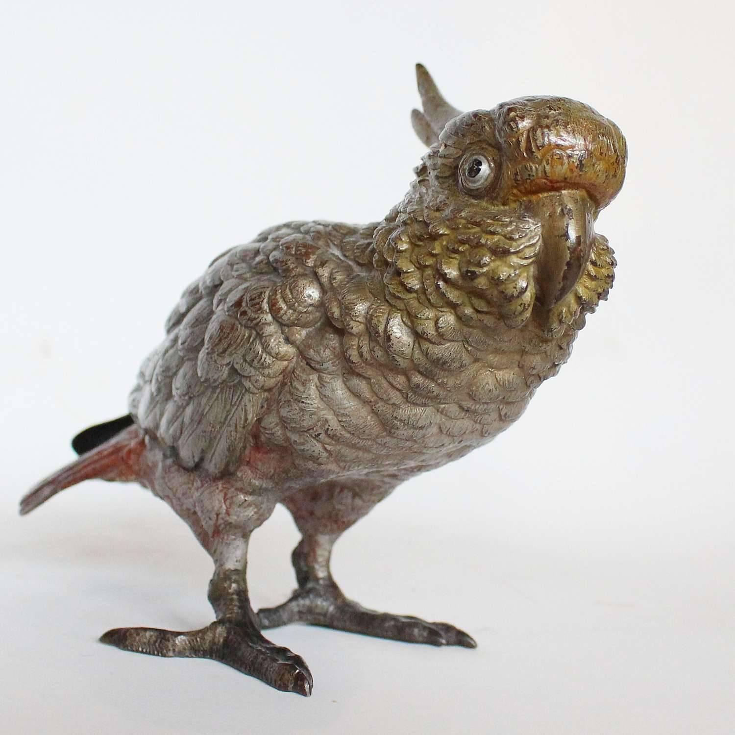 Austrian Bronze Cockatoo 2