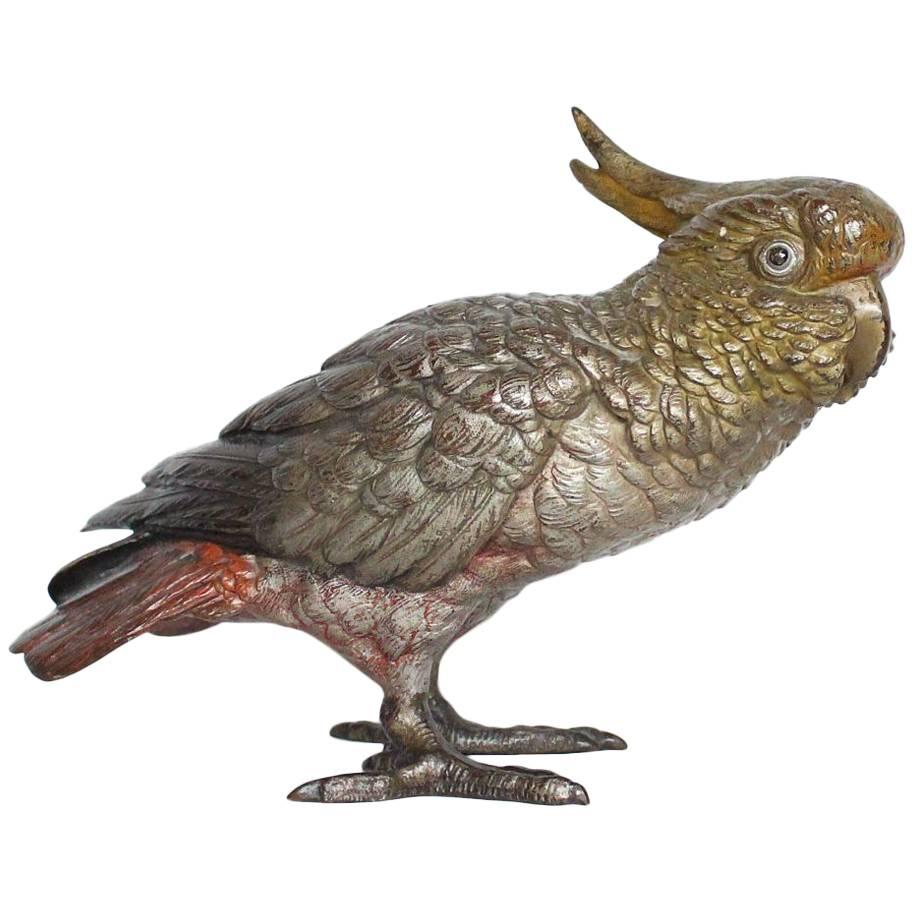 Austrian Bronze Cockatoo