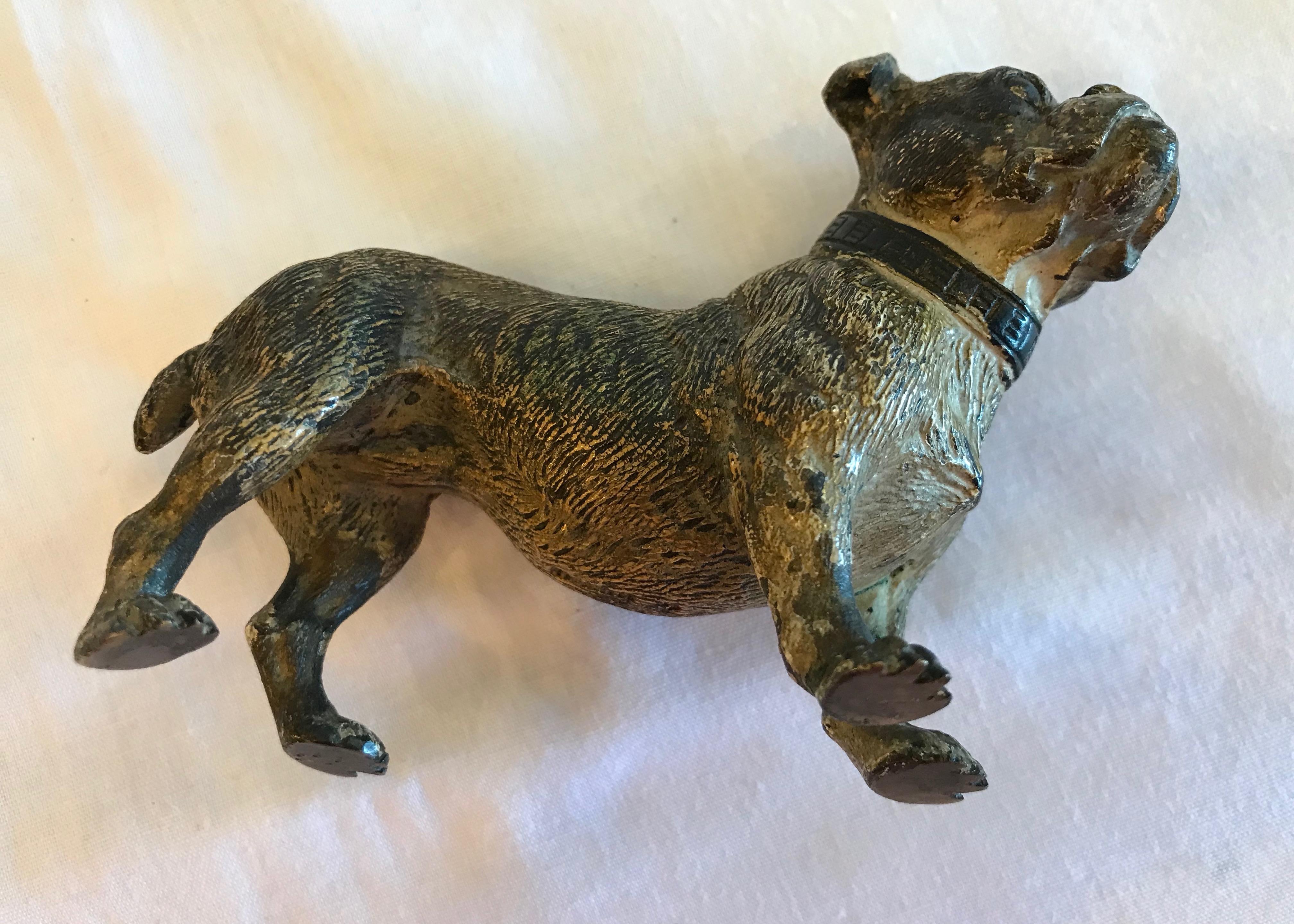 Austrian Bronze Figure of Bulldog 6