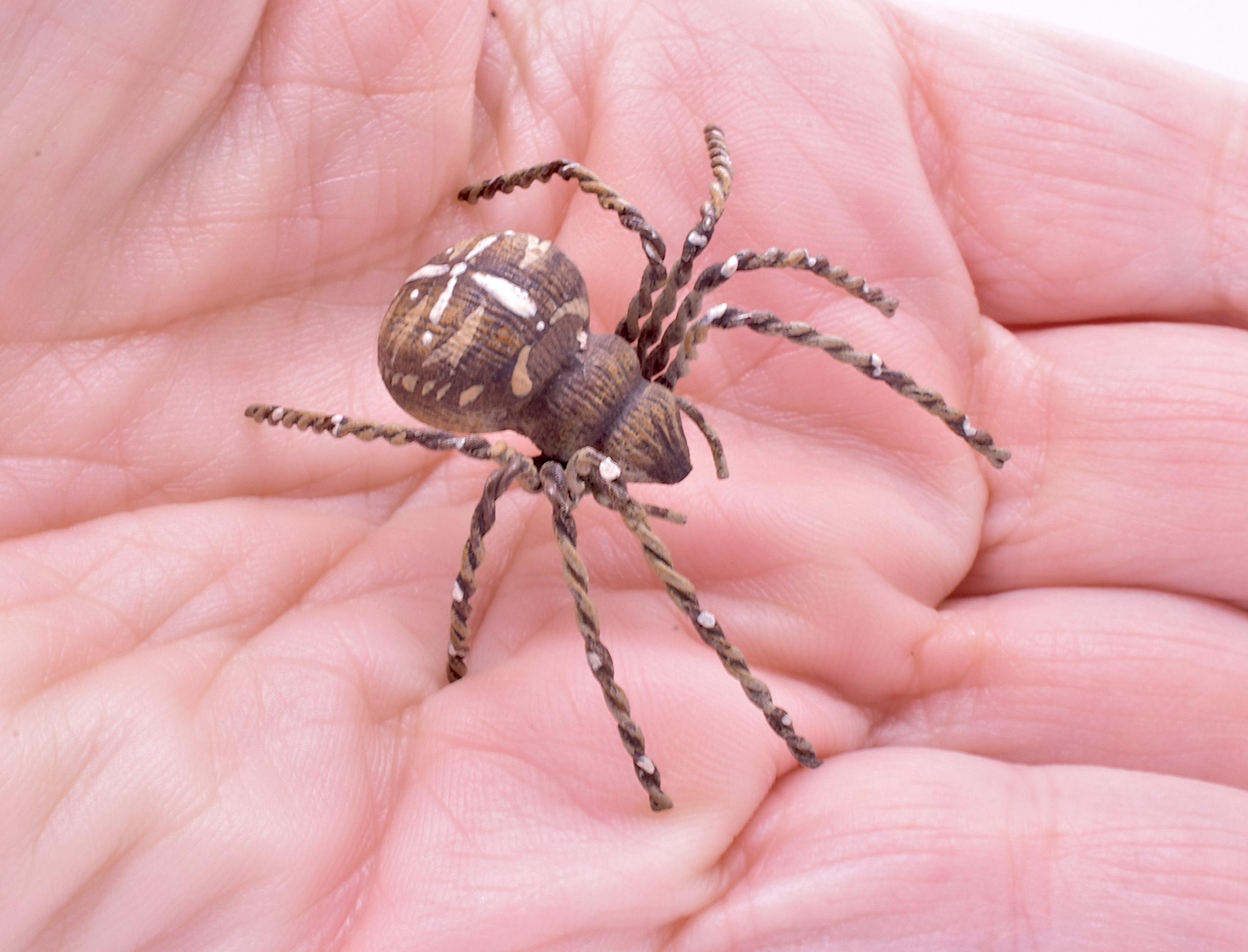 C1880 Austrian Bronze Realistic Tarantula Spider 3
