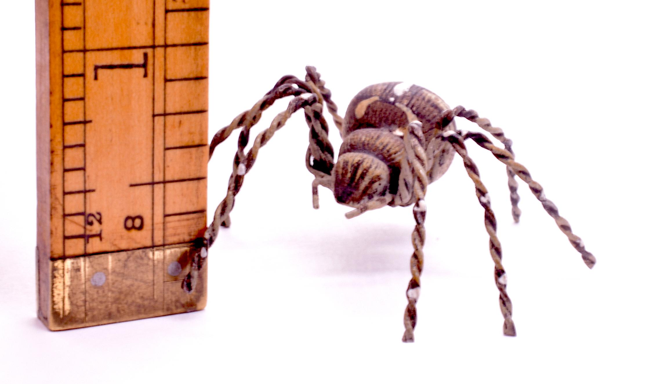 C1880 Austrian Bronze Realistic Tarantula Spider 4