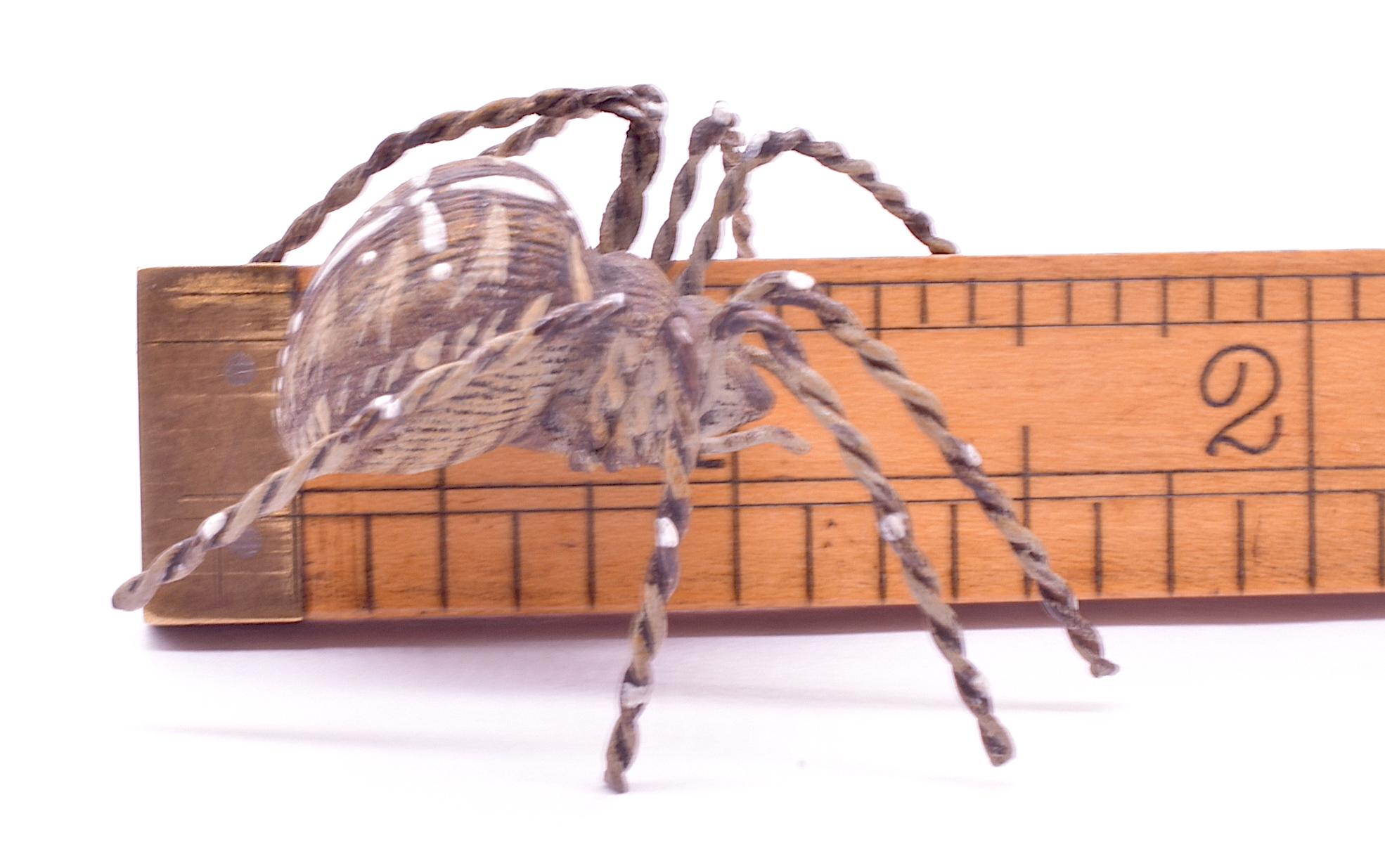 C1880 Austrian Bronze Realistic Tarantula Spider 5