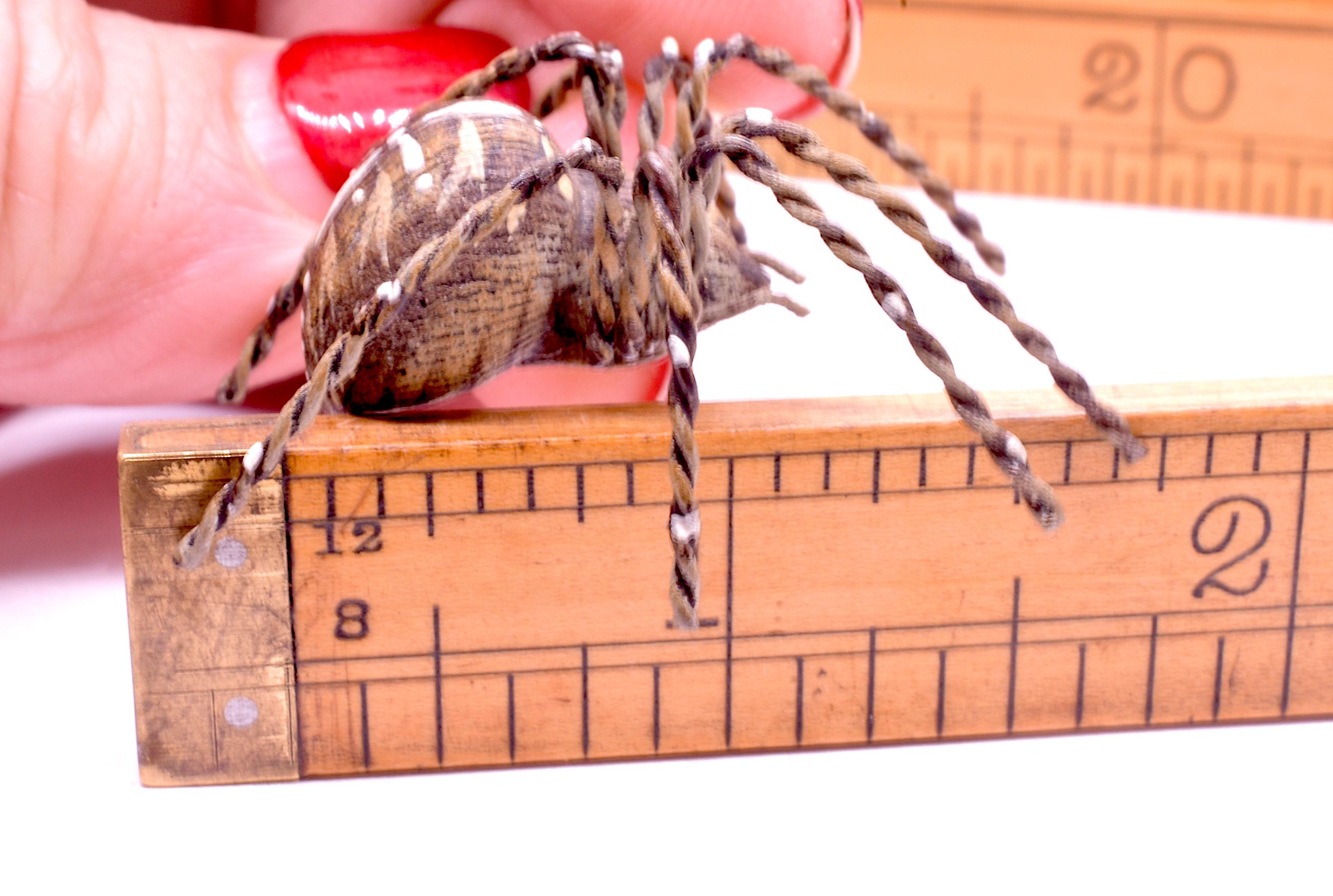 C1880 Austrian Bronze Realistic Tarantula Spider 6