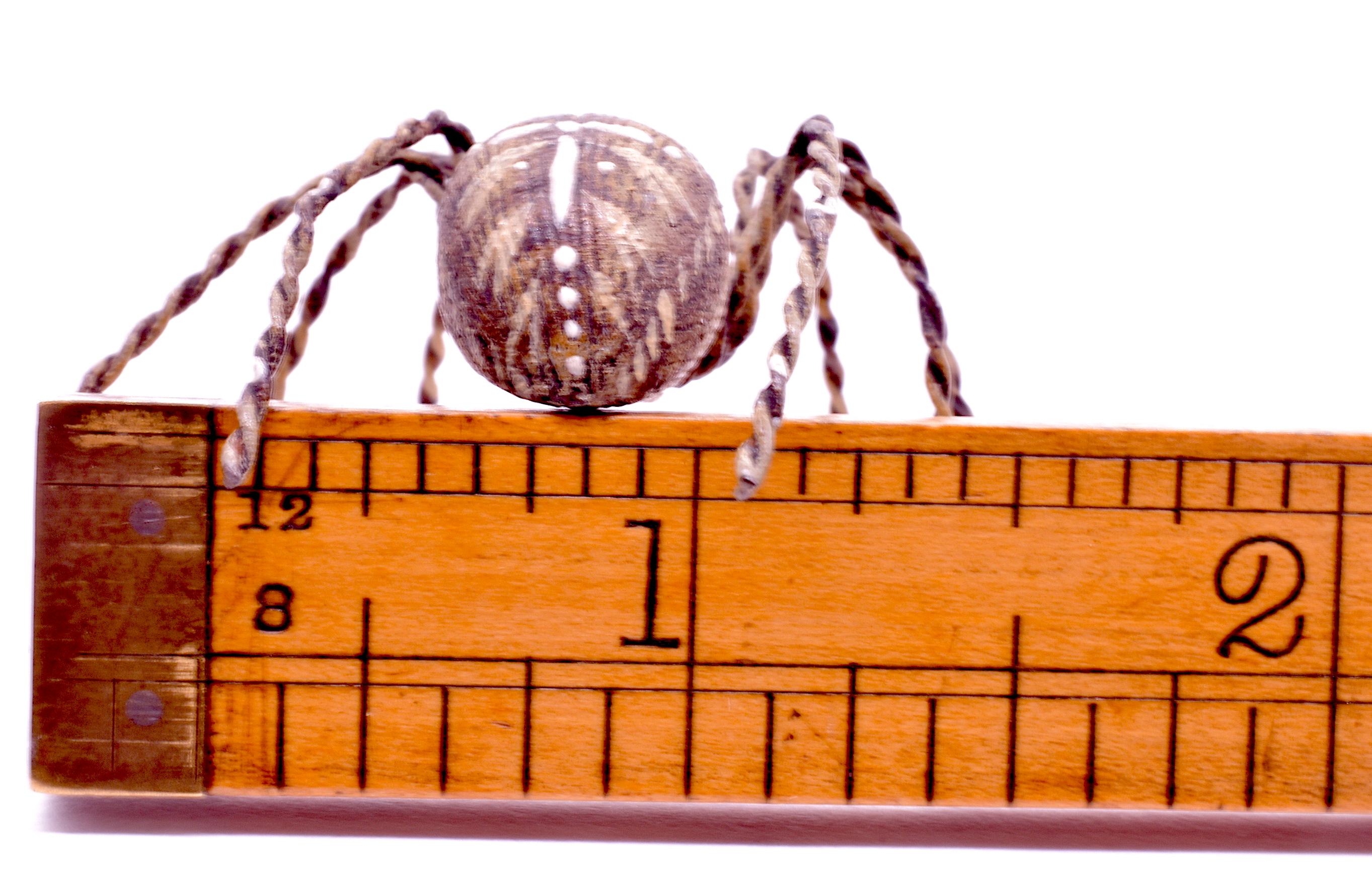 C1880 Austrian Bronze Realistic Tarantula Spider 7
