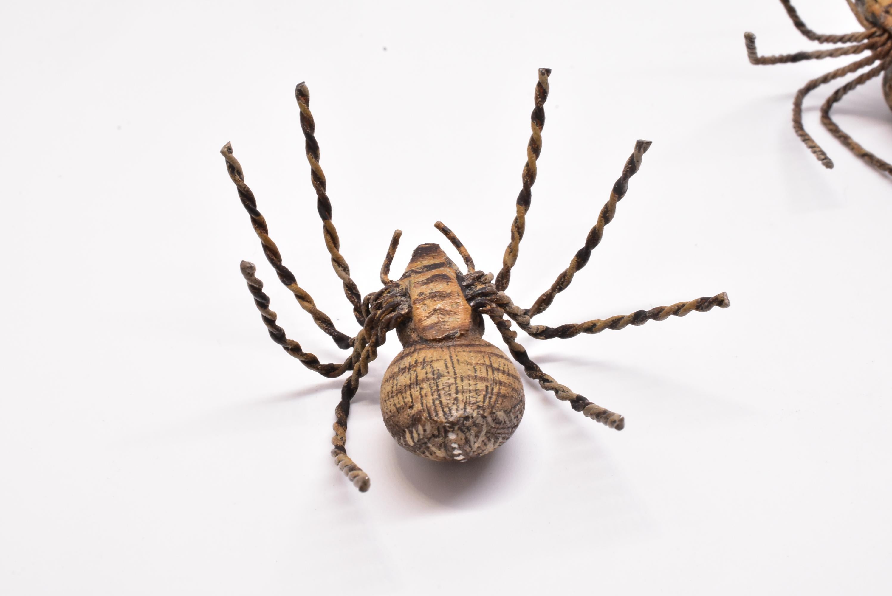 austria spider