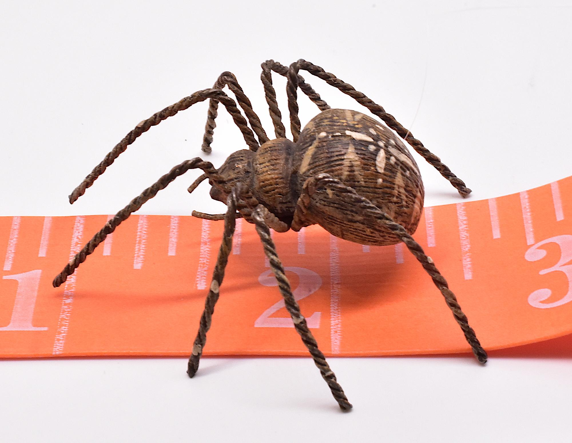 C1880 Austrian Bronze Realistic Tarantula Spider In Excellent Condition In Baltimore, MD
