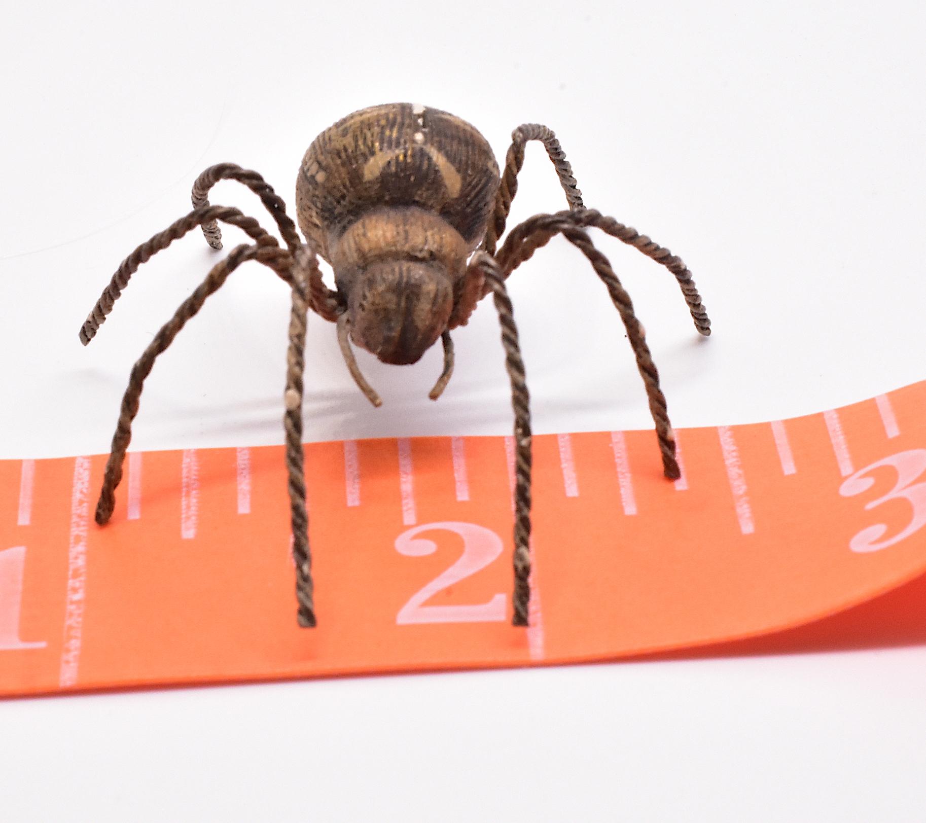 Women's or Men's C1880 Austrian Bronze Realistic Tarantula Spider